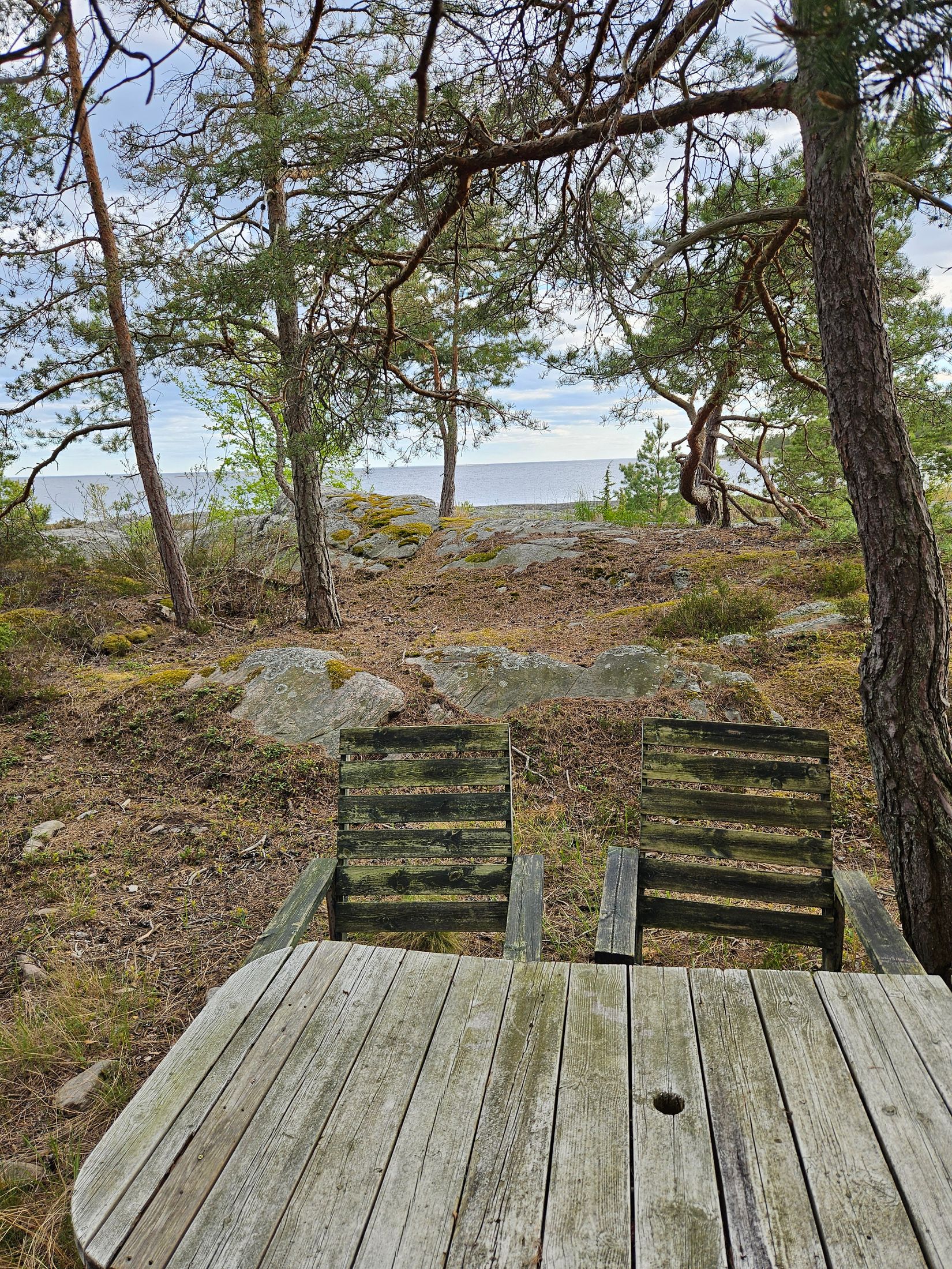 Gård/Skog, HAMMARÖ ÖSTRA TAKENE 1:7, Bena, Hammarö