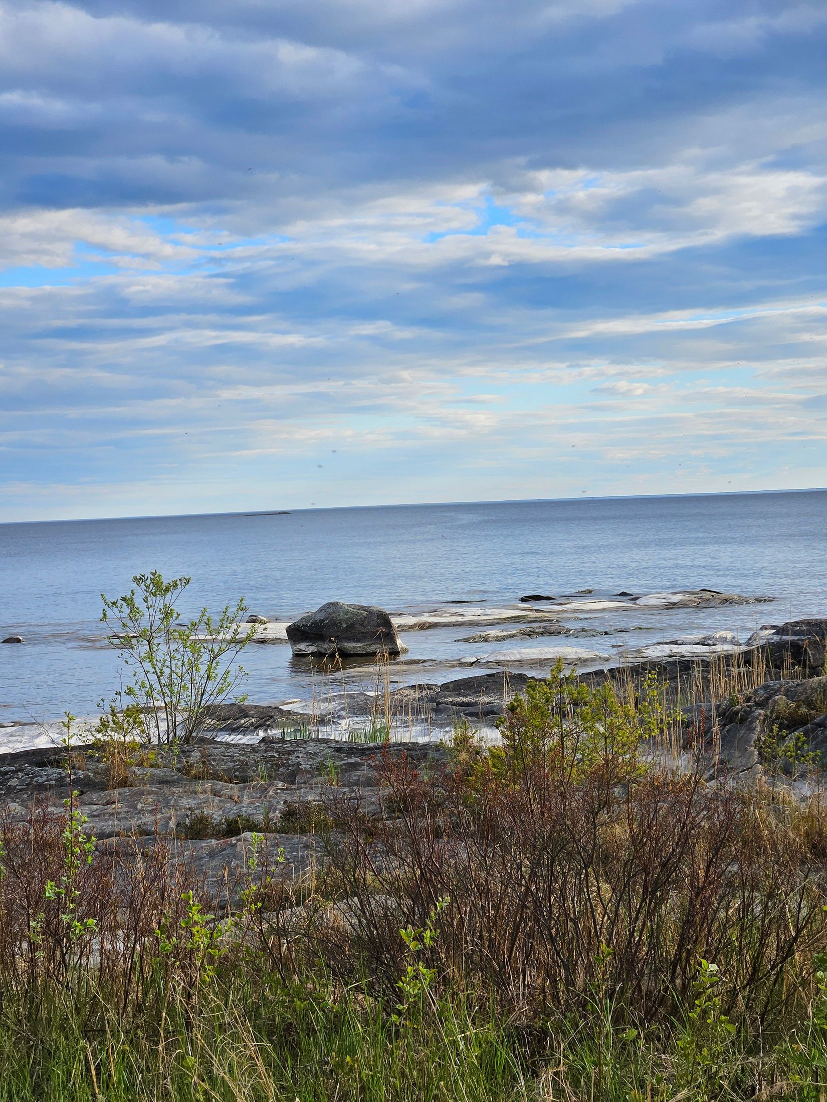 Gård/Skog, HAMMARÖ ÖSTRA TAKENE 1:7, Bena, Hammarö