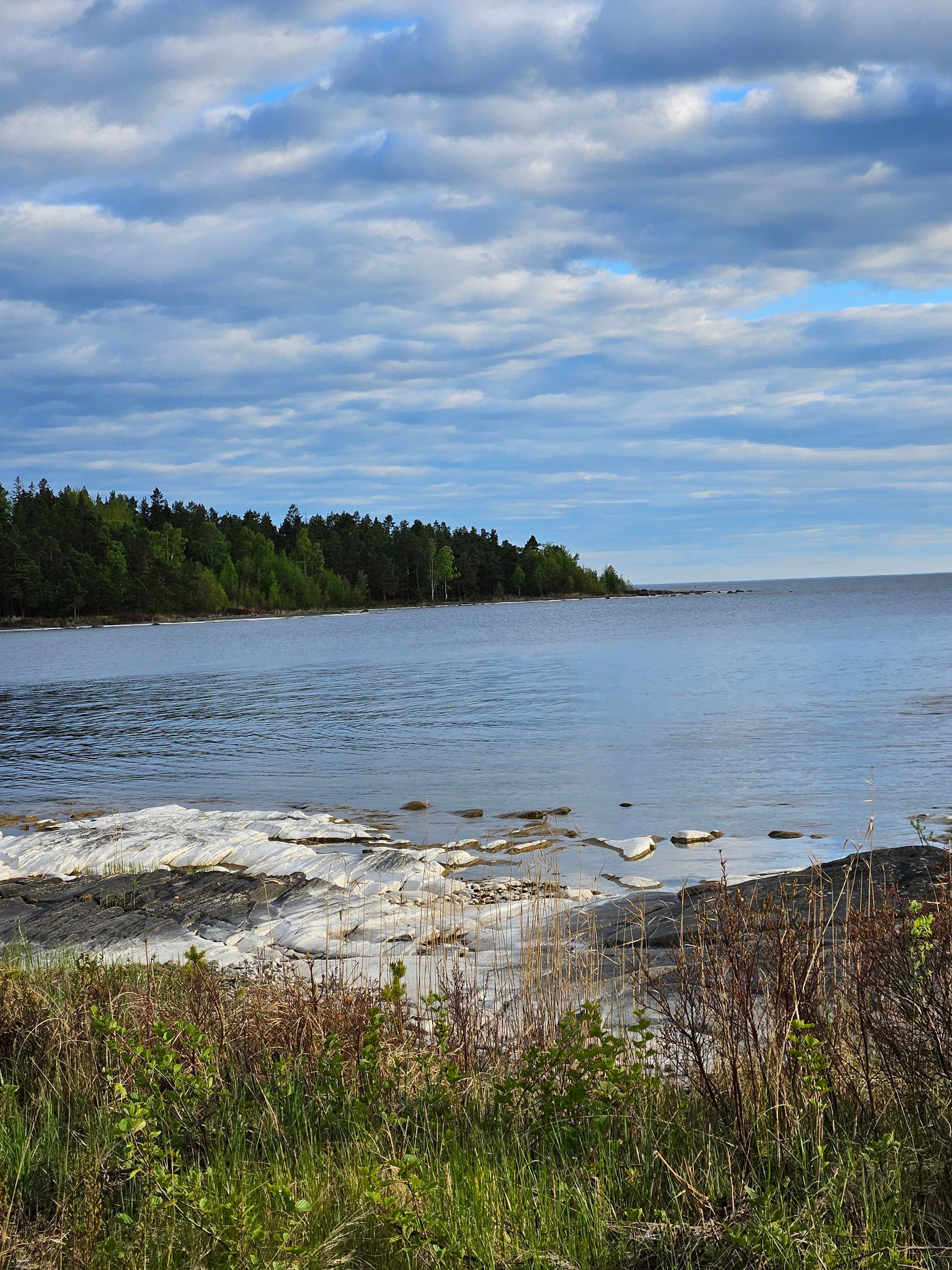Gård/Skog, HAMMARÖ ÖSTRA TAKENE 1:7, Bena, Hammarö