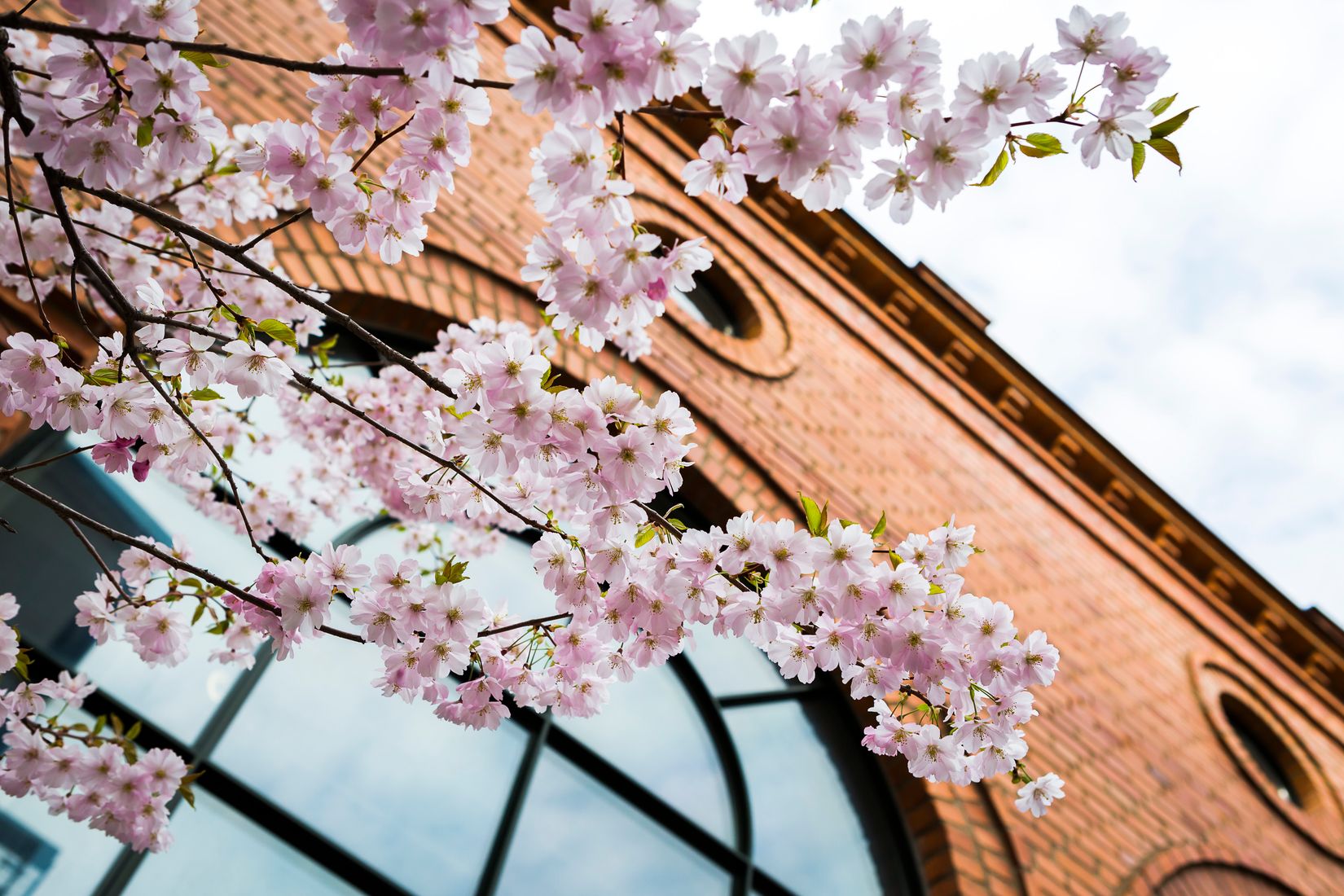 Bostadsrätt, Lottens Gata 11, Södermalm - Sofia, Stockholm