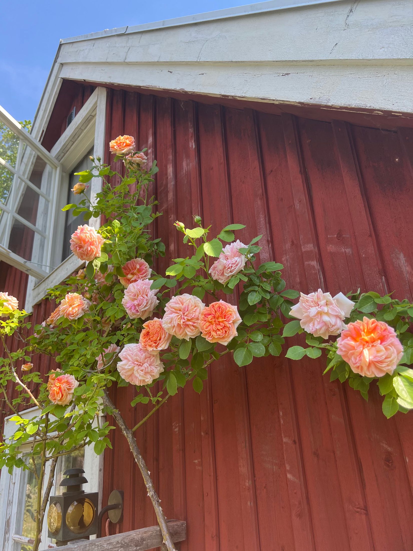 Fritidshus, Nybyggarvägen 10, Hjortens odling/Malma, Värmdö