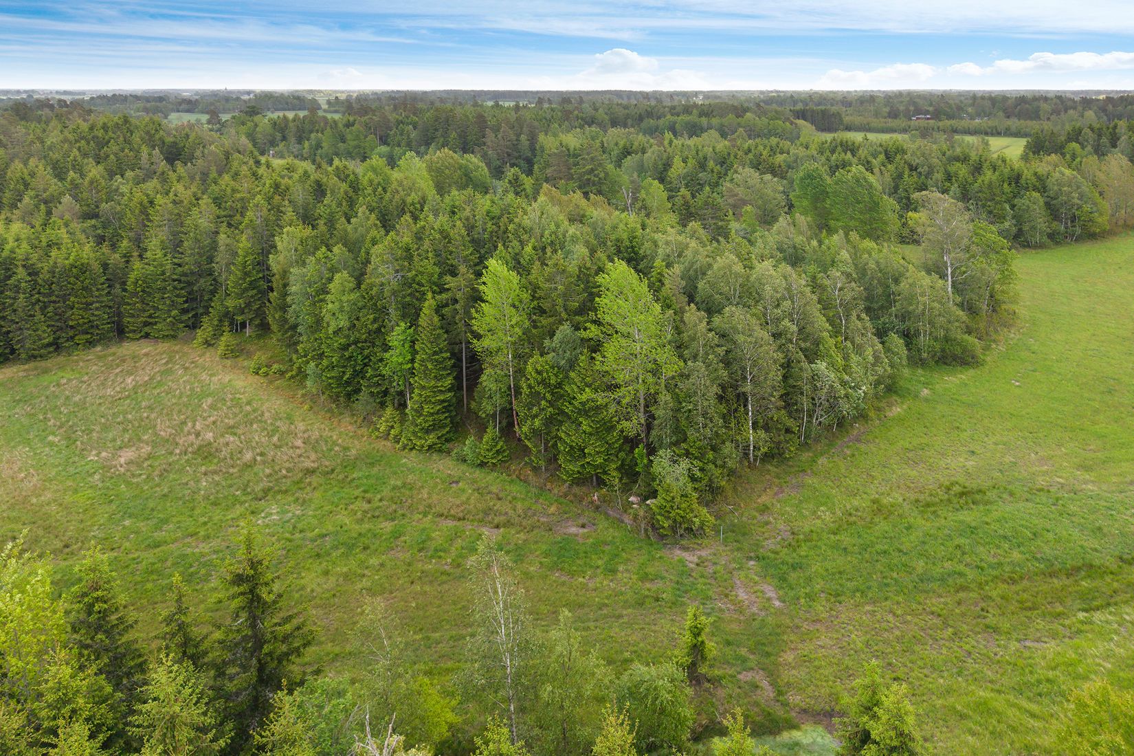 Tomt, Alingsåker/Lindveden, Alingsåker, Trollhättan