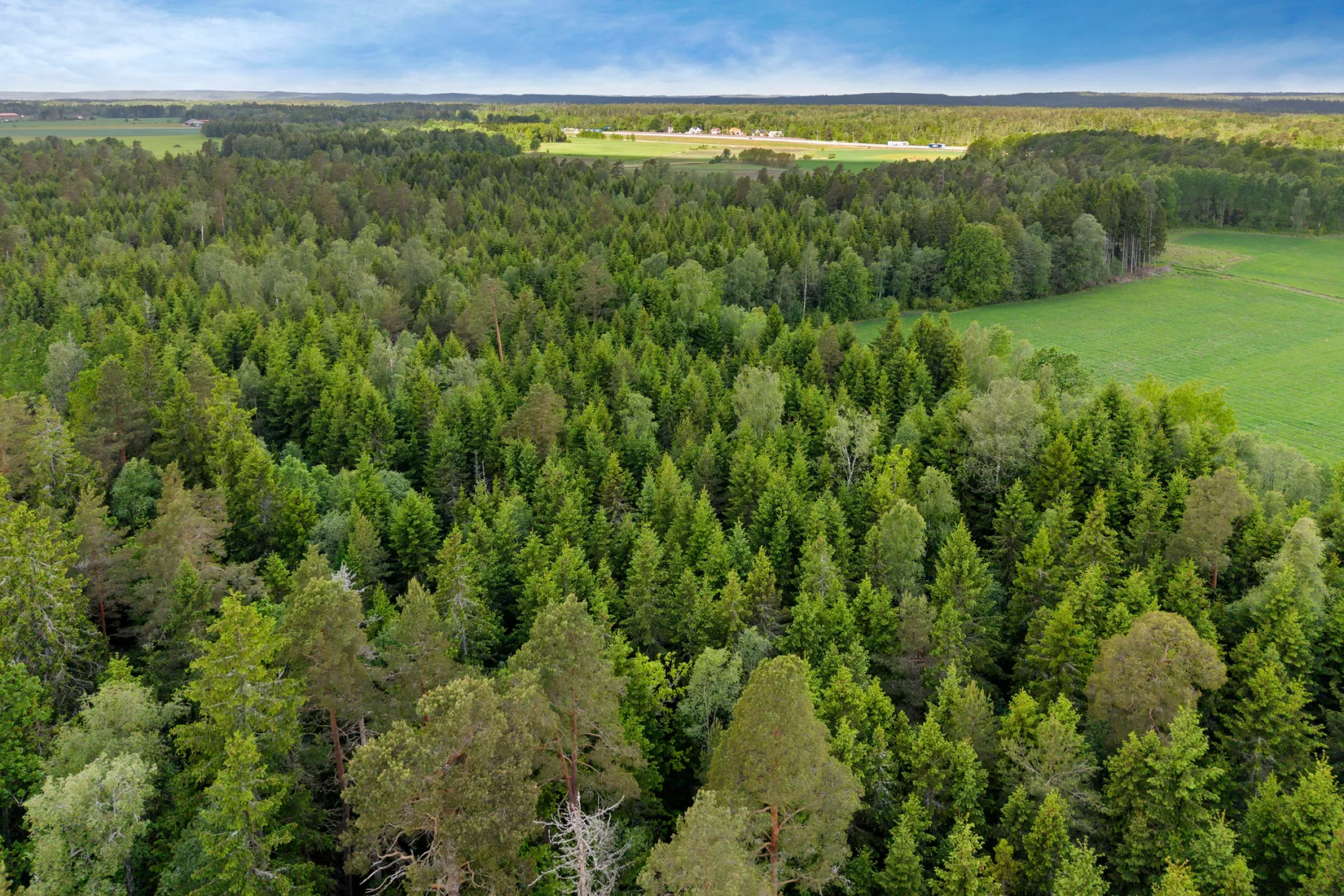 Tomt, Alingsåker/Lindveden, Alingsåker, Trollhättan