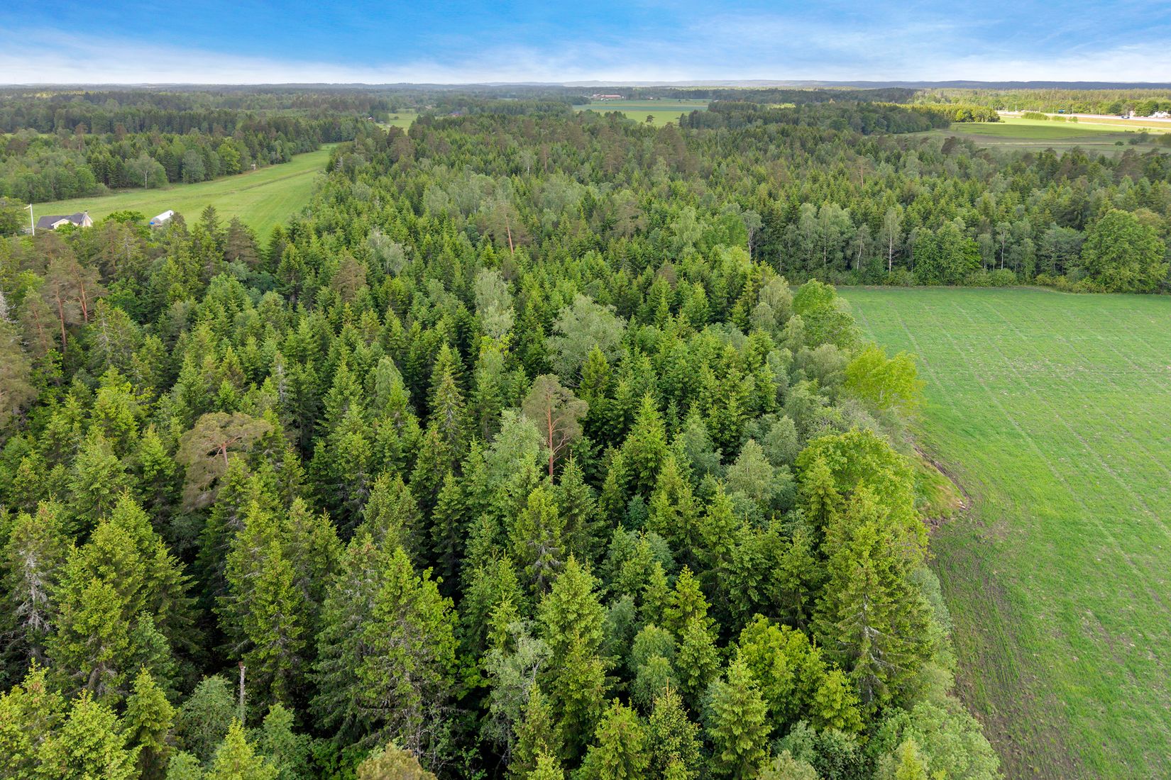 Tomt, Alingsåker/Lindveden, Alingsåker, Trollhättan