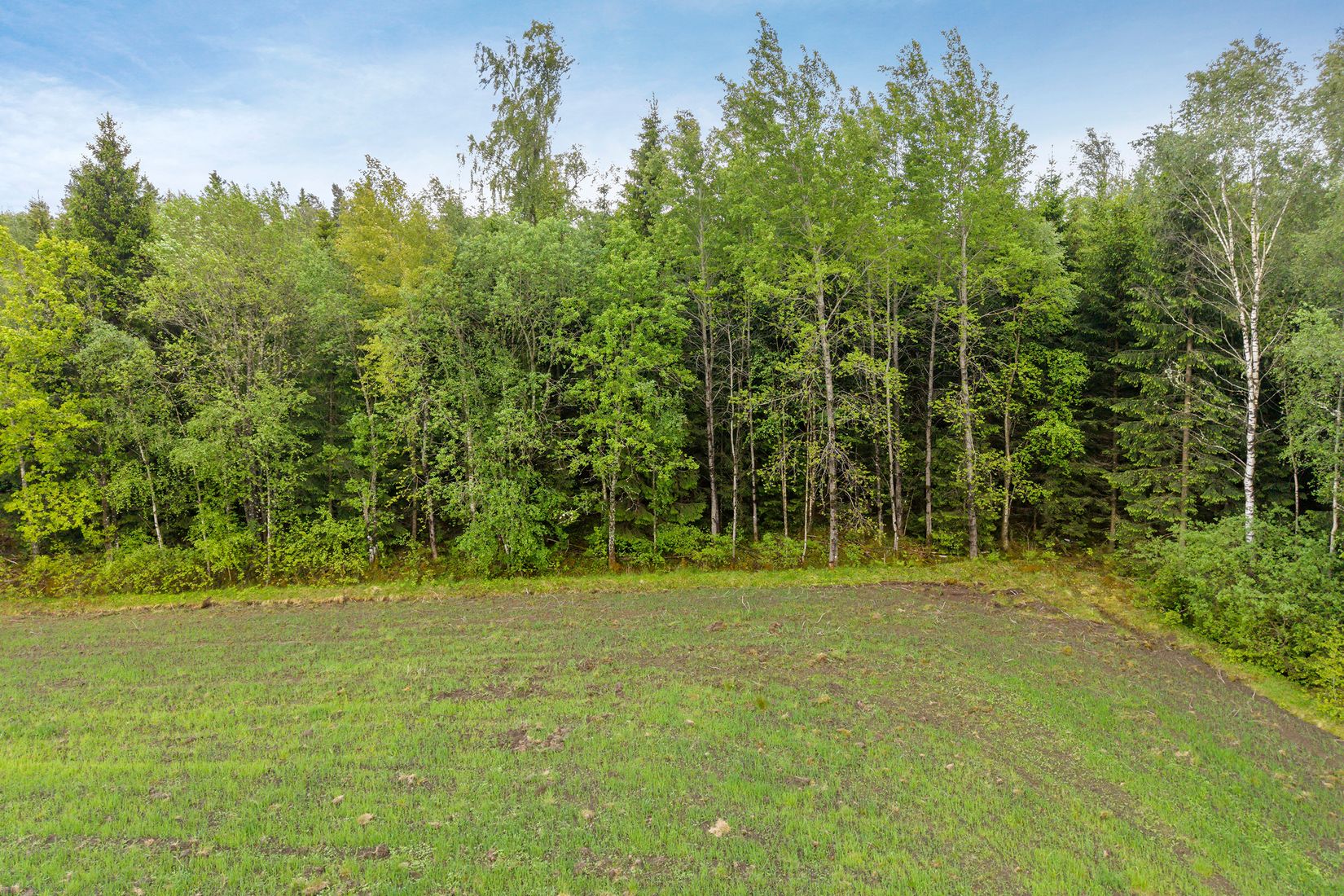 Tomt, Alingsåker/Lindveden, Alingsåker, Trollhättan