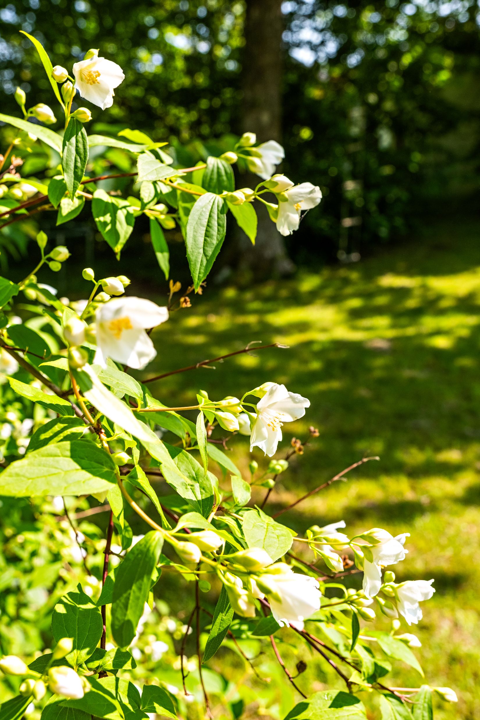 Fritidshus, Kristiansborg 140, Kungälv - Lycke, Kungälv
