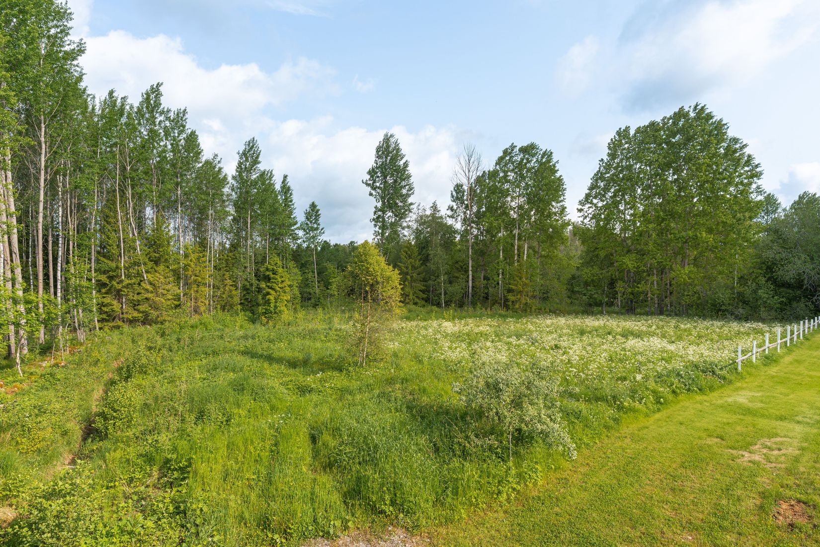 Tomt, Hässelgärdet 526, Kumla