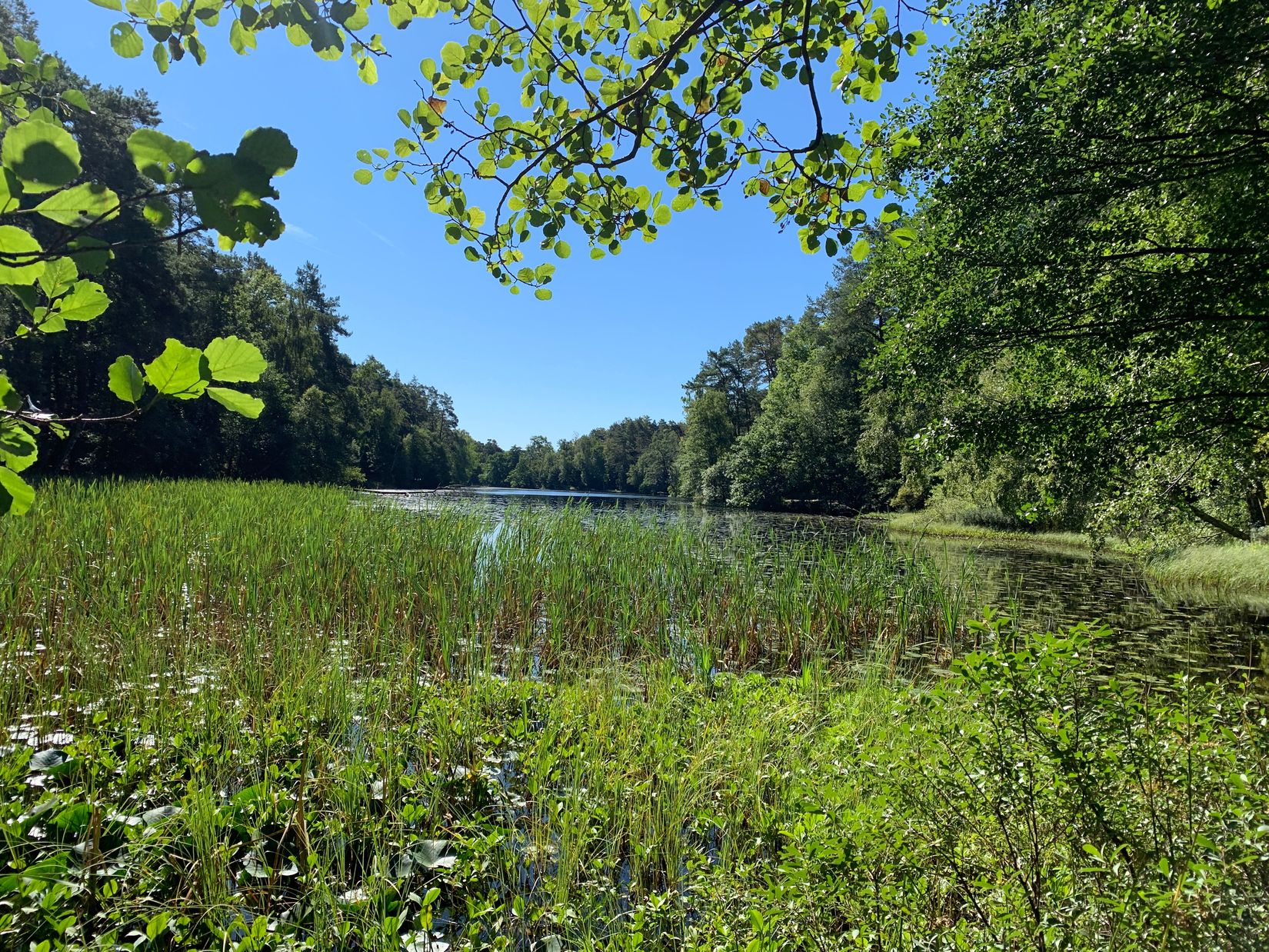 Bostadsrätt, Harald Hjärnesgatan 13F, Centrala Hisingen, Göteborg