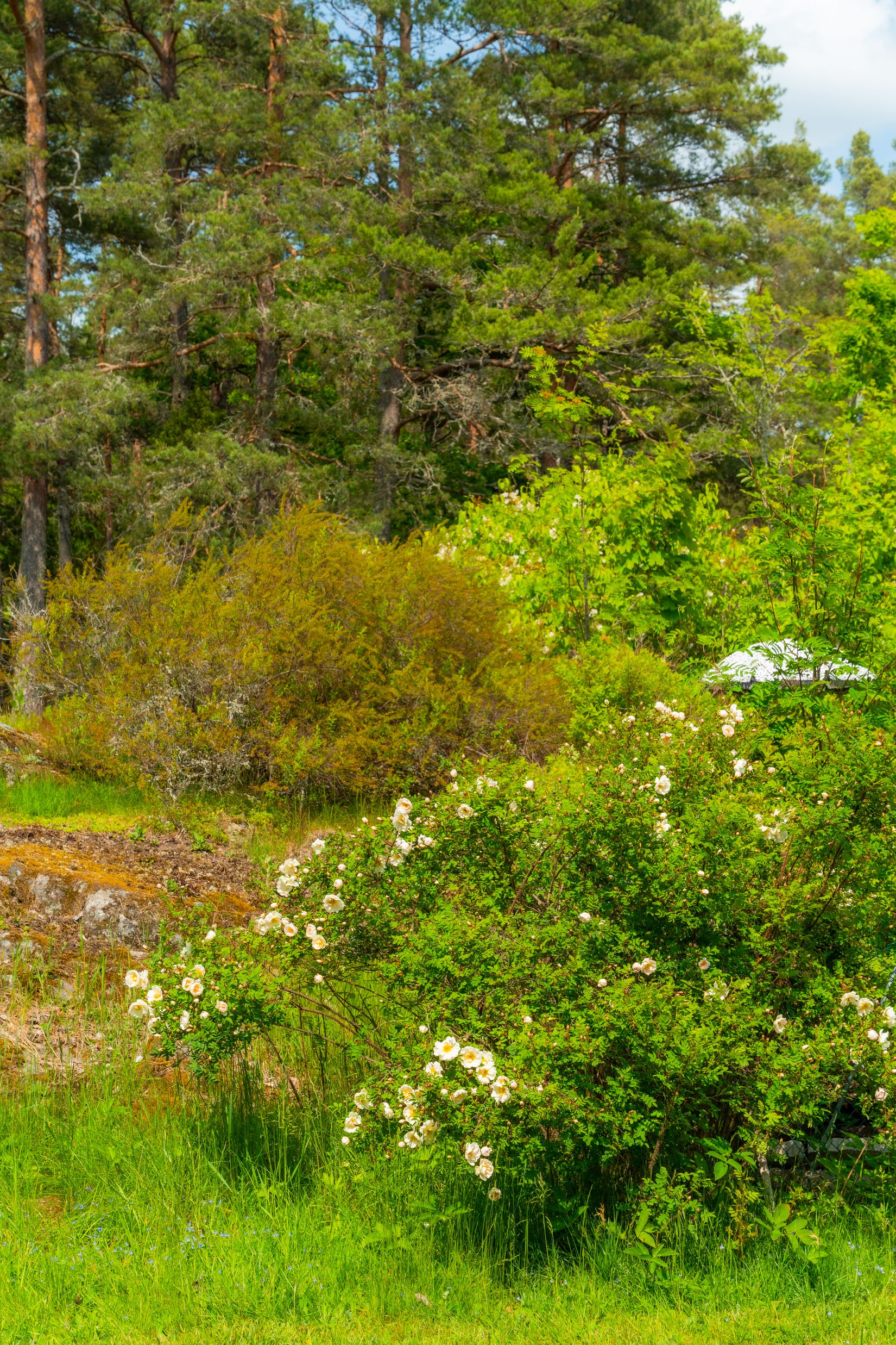 Villa, Aspa Österlund 1, Aspa, Nyköping