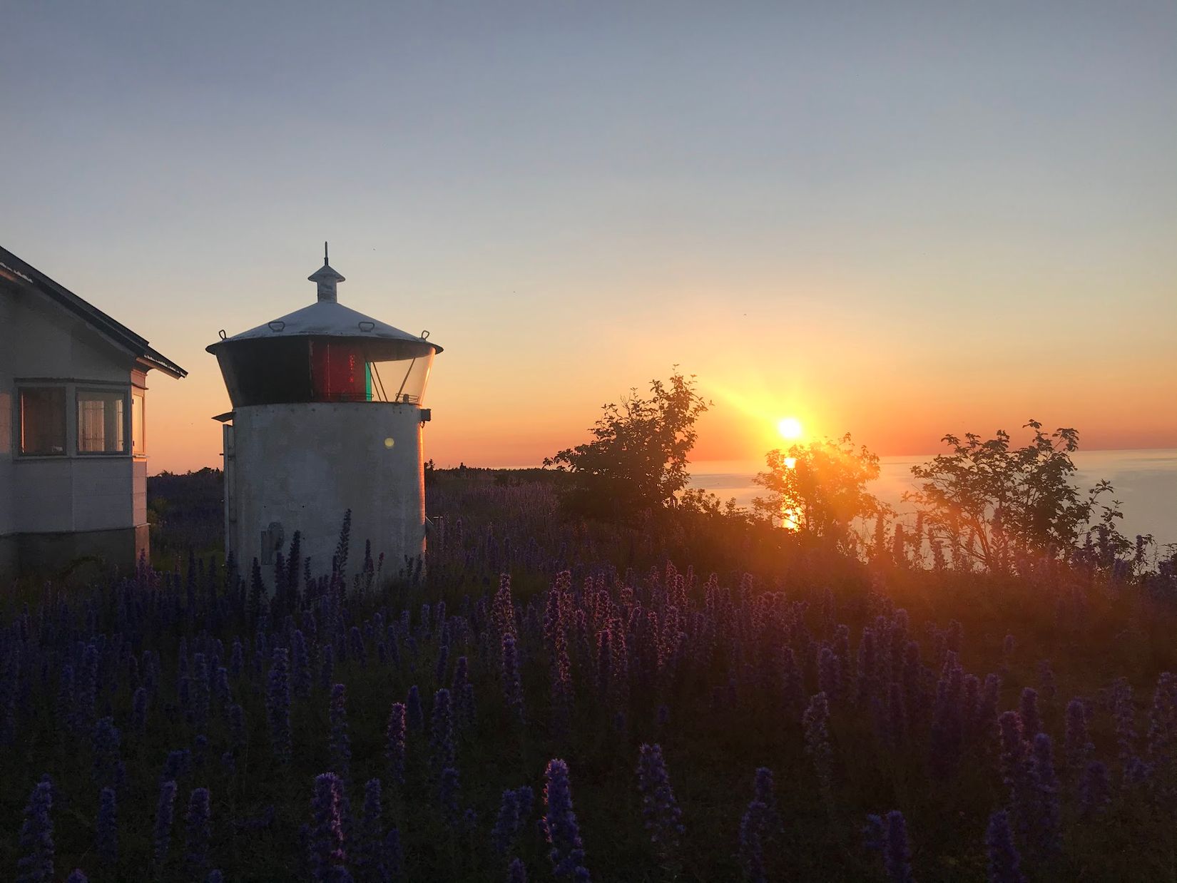 Villa, Hall Medebys 719, Hall, Gotland