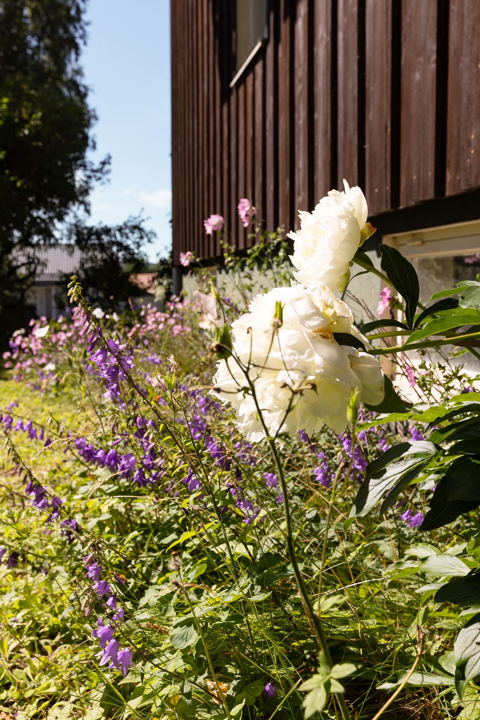 Villa, Bangårdsgatan 77, Söder, Östersund