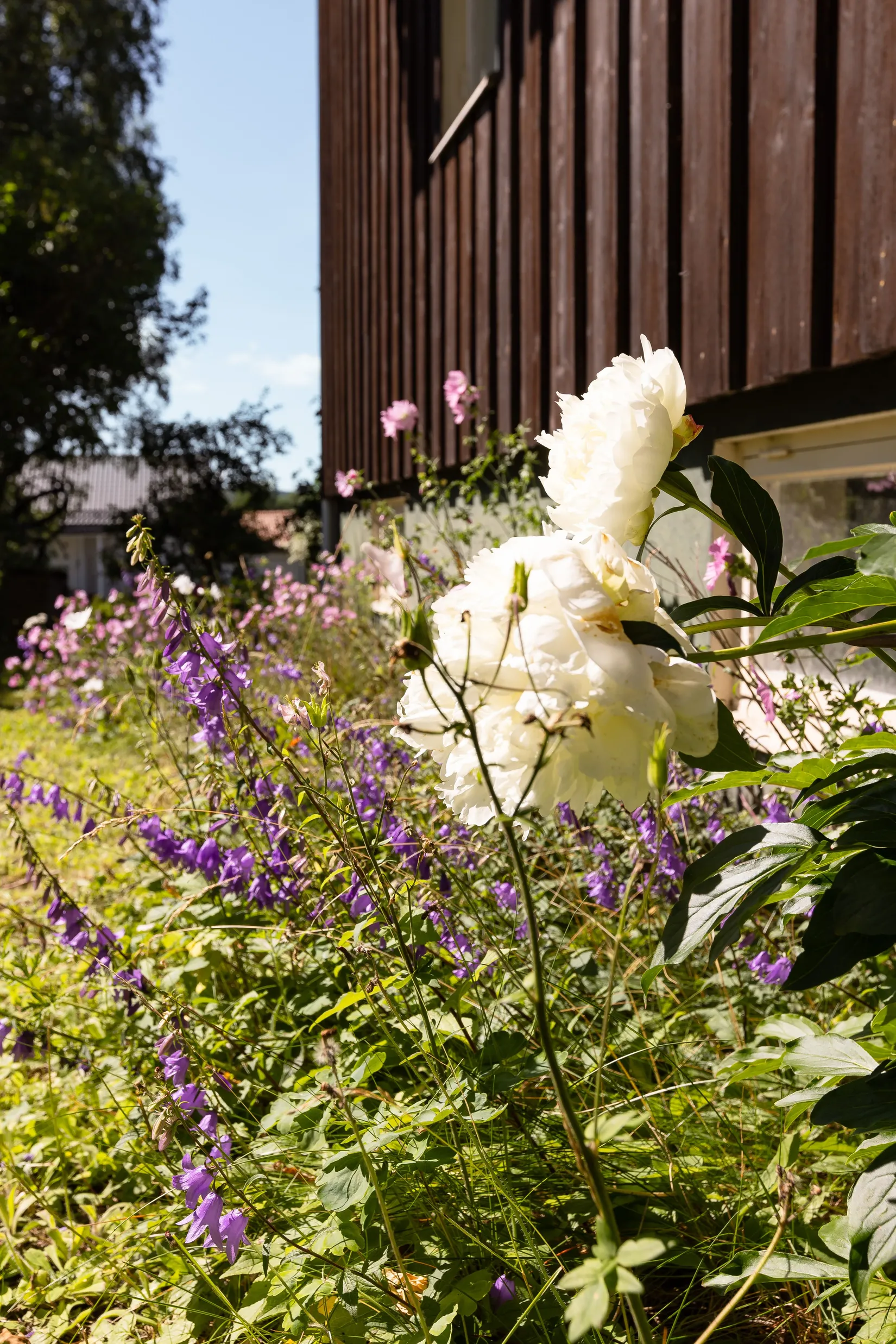 Villa, Bangårdsgatan 77, Söder, Östersund