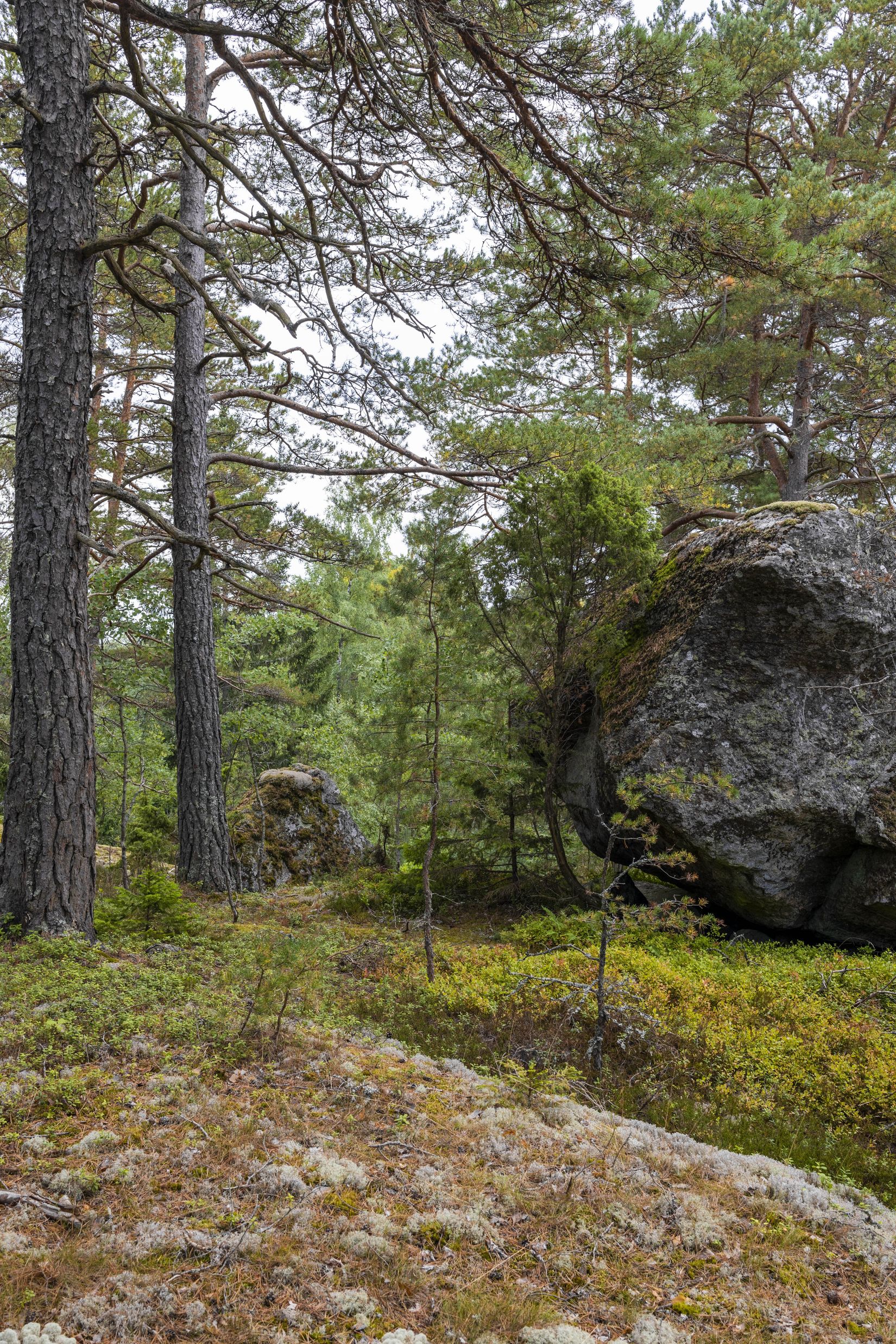 Tomt, Lämbonäsvägen 67A, Hölö, Södertälje