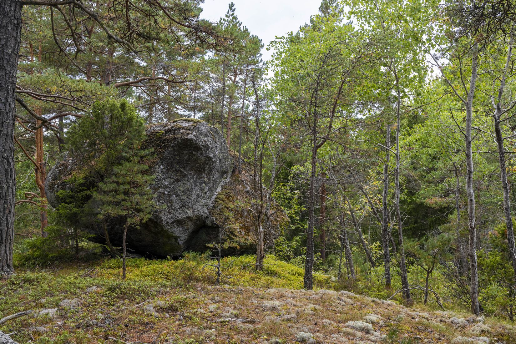 Tomt, Lämbonäsvägen 67A, Hölö, Södertälje