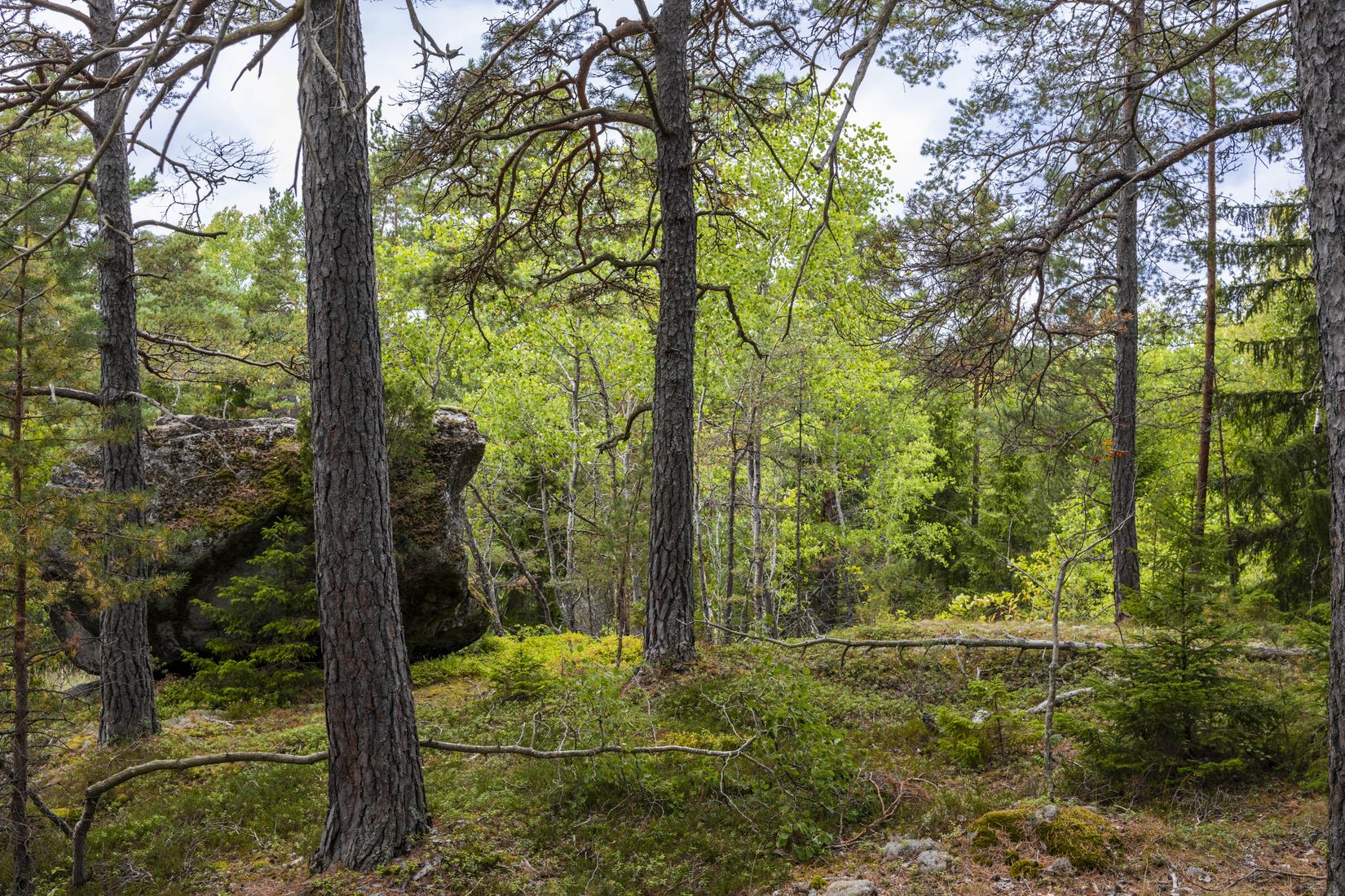 Tomt, Lämbonäsvägen 67A, Hölö, Södertälje