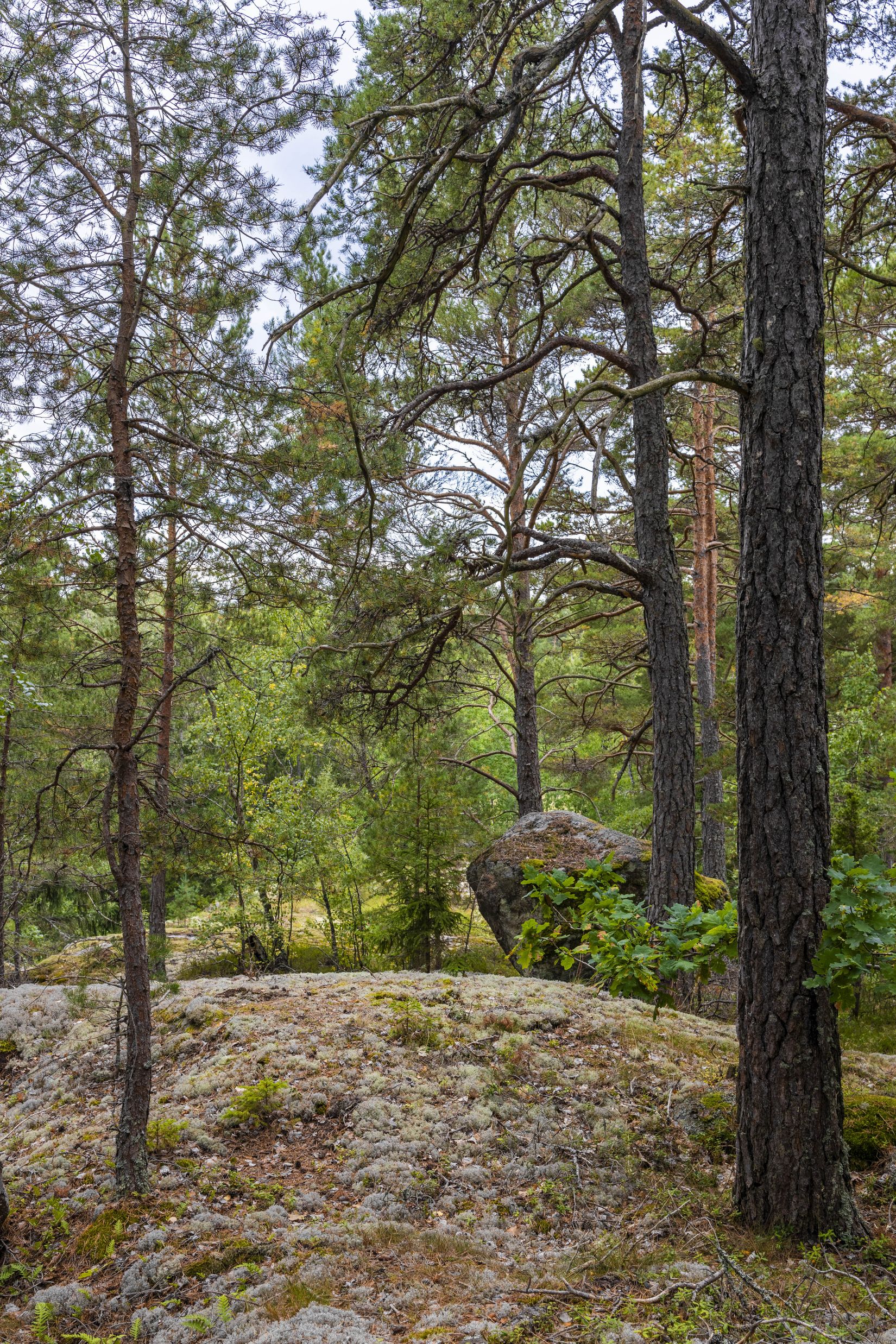 Tomt, Lämbonäsvägen 67A, Hölö, Södertälje