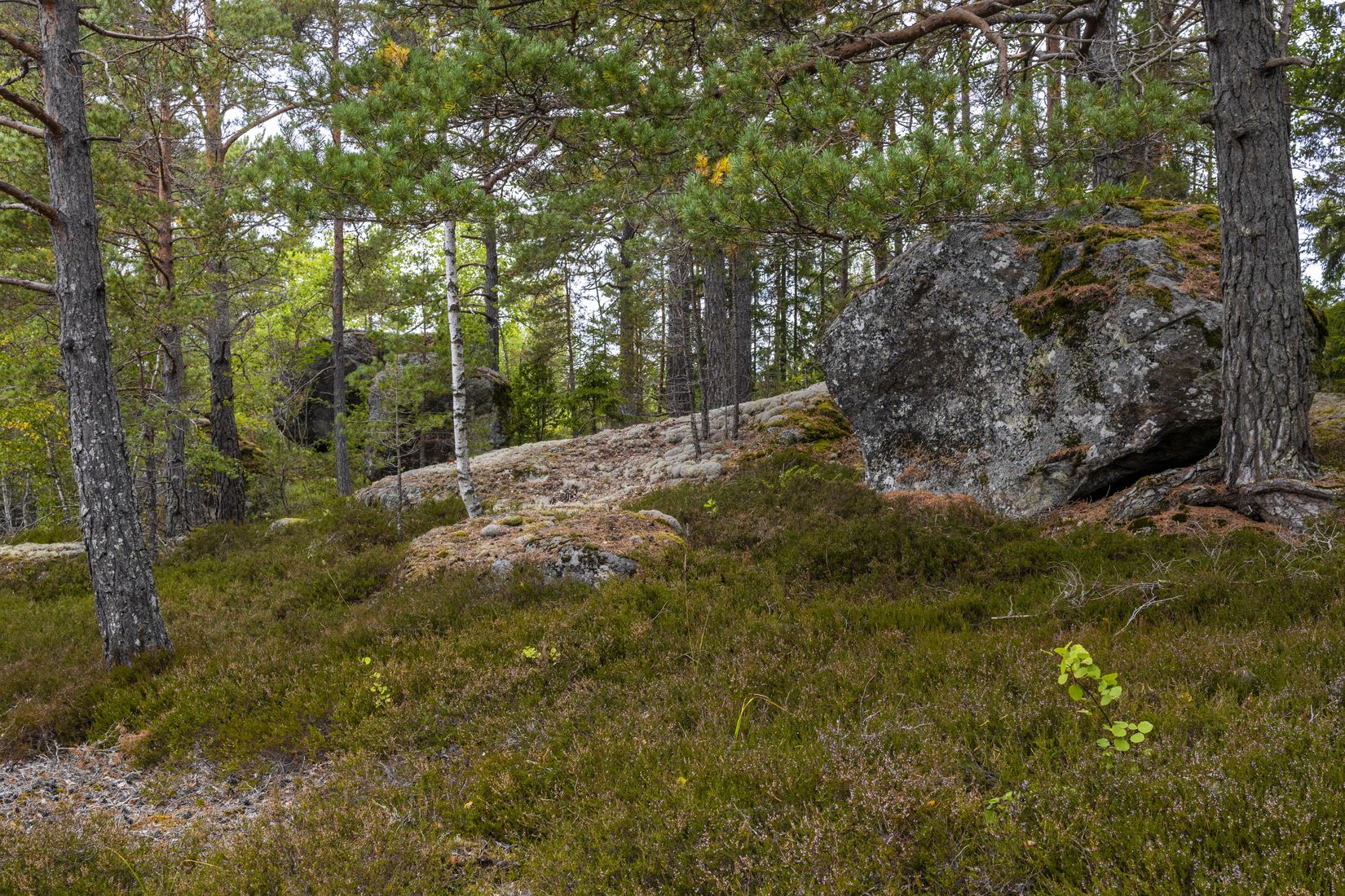 Tomt, Lämbonäsvägen 67A, Hölö, Södertälje