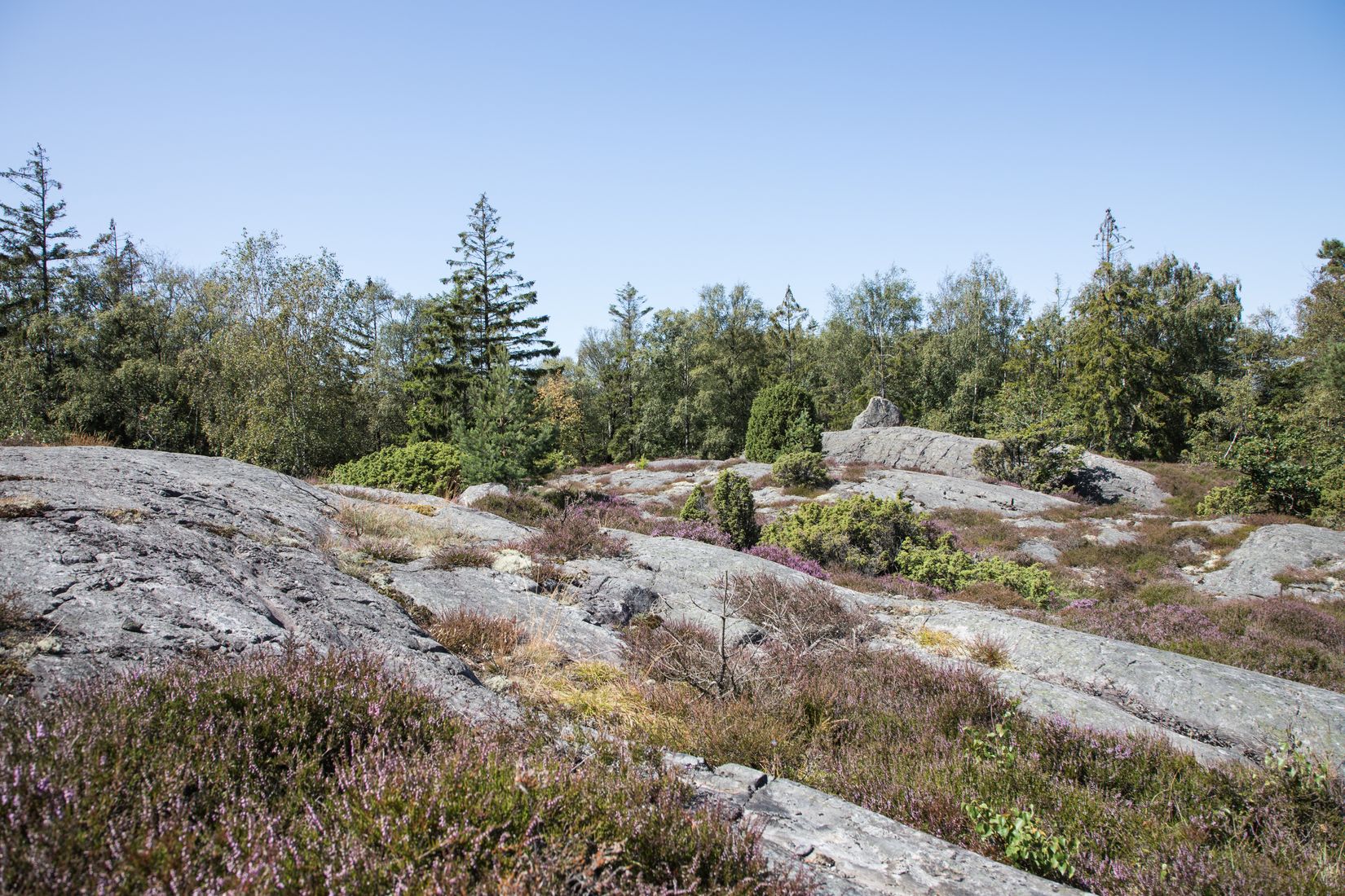 Tomt, Ranneberg 275 (grannens adress), Lycke/Tofta, Kungälv