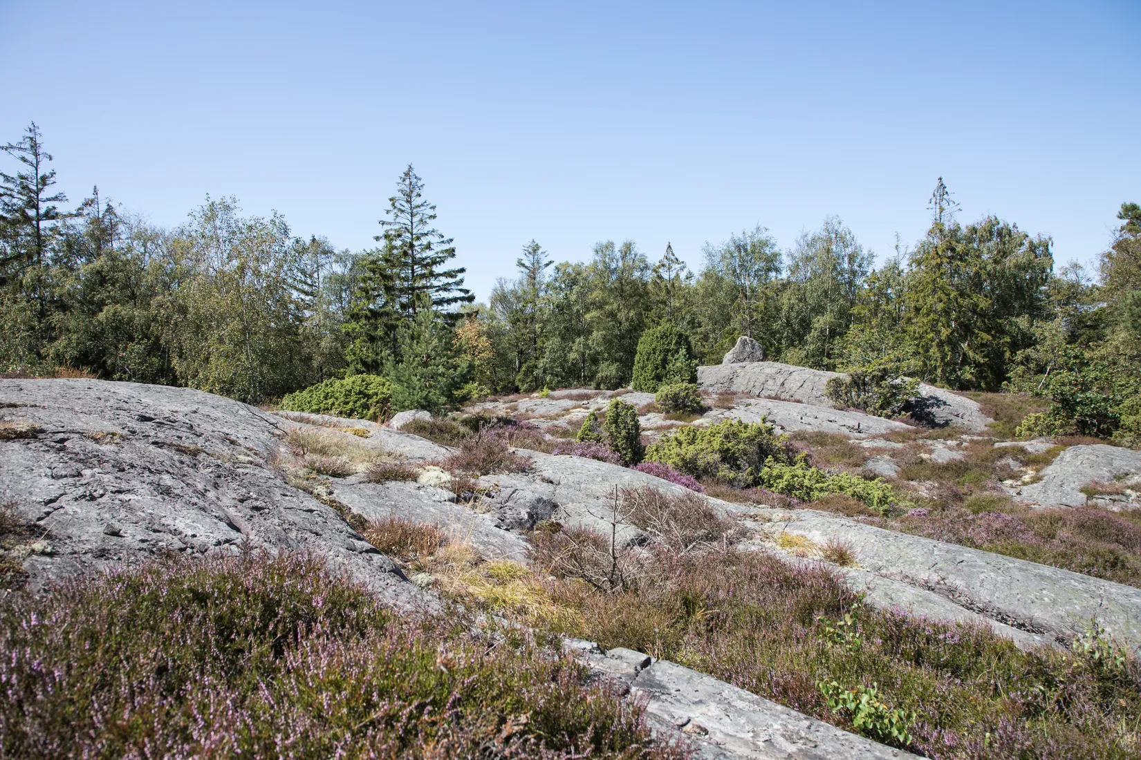Tomt, Ranneberg 275 (grannens adress), Lycke/Tofta, Kungälv