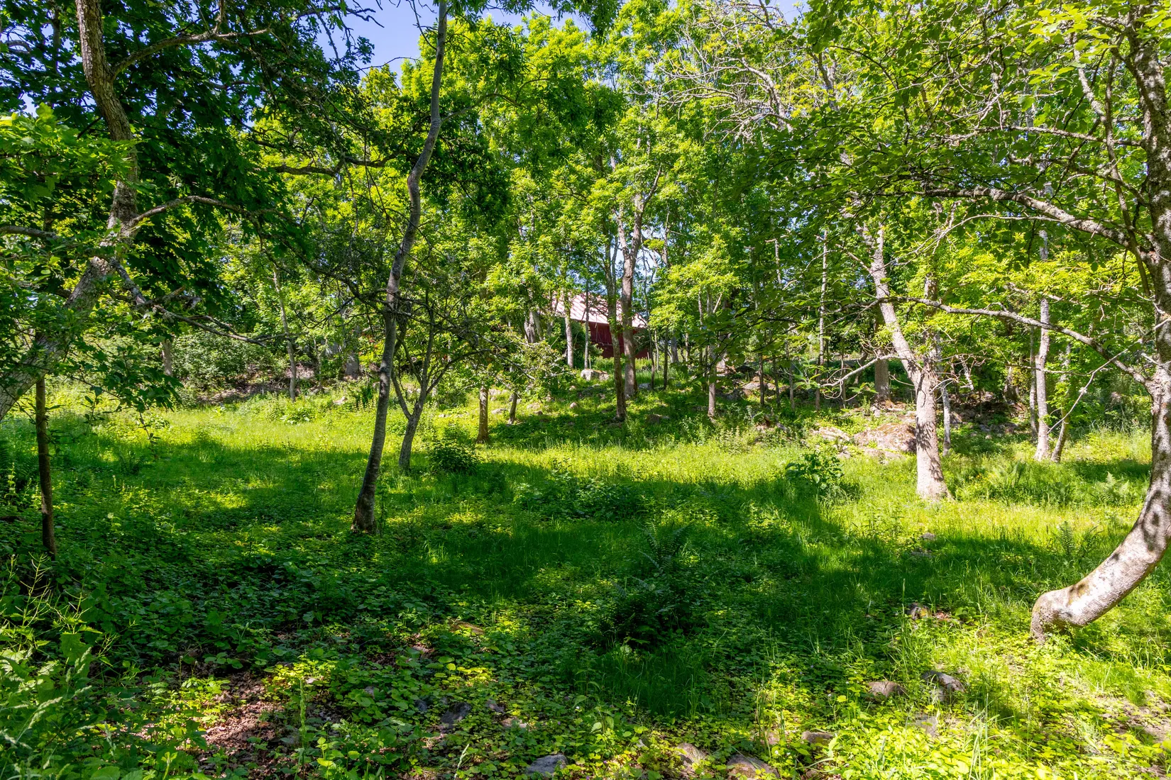 Villa, Rotviks gård 1, Rotvik, Oskarshamn