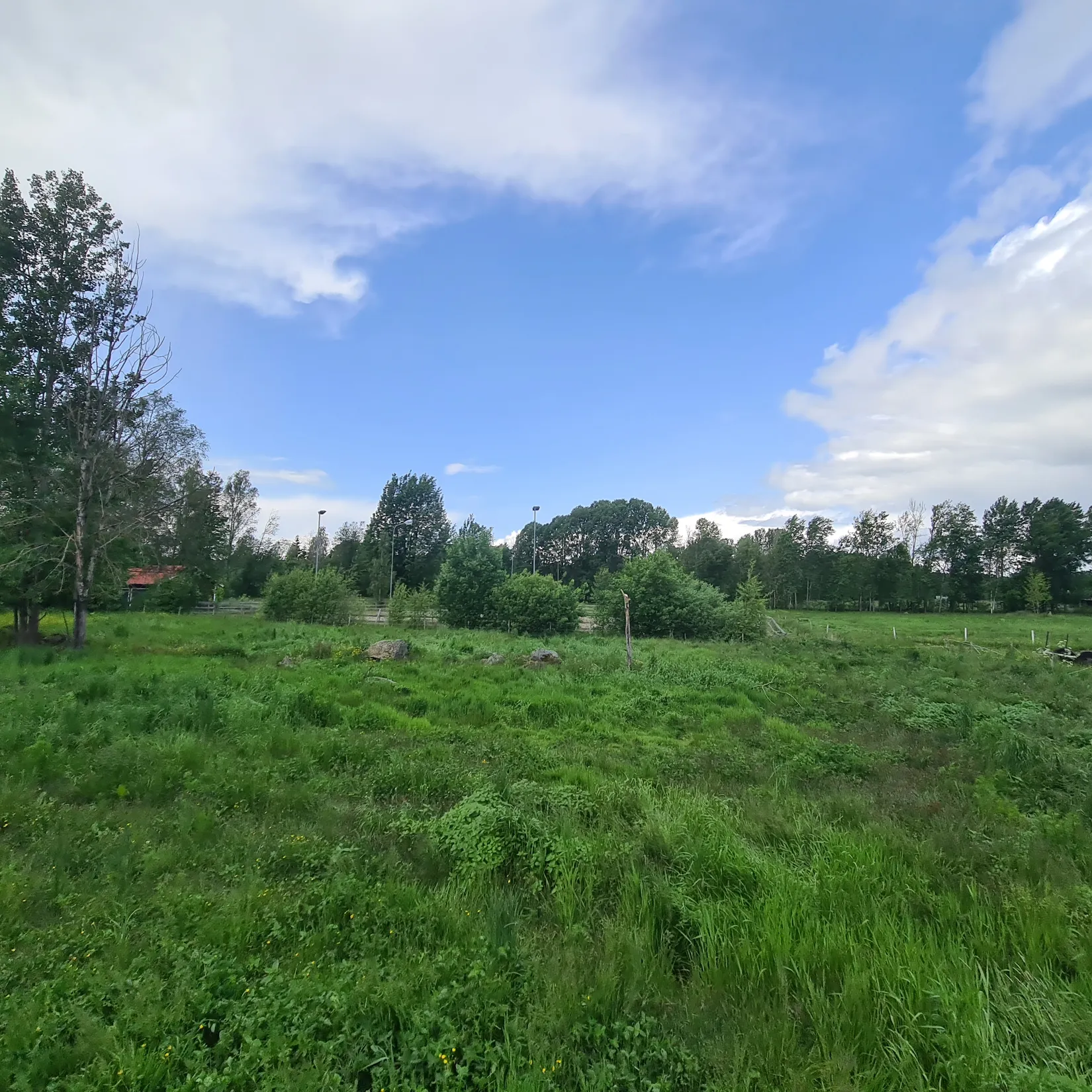 Gård/Skog, Folkatorp 510, Kumla