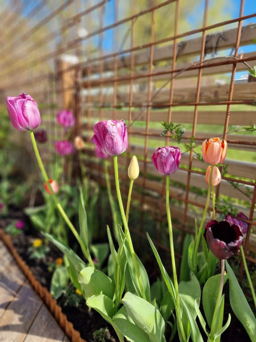 Bostadsrätt, Brandholmsvägen 22, Brandholmen, Nyköping