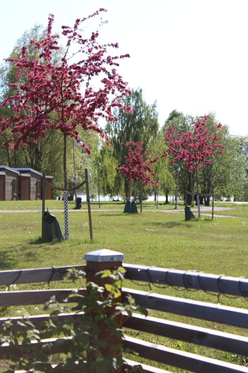 Bostadsrätt, Brandholmsvägen 22, Brandholmen, Nyköping