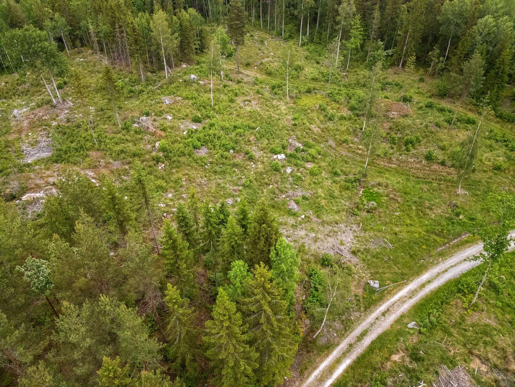 Tomt, Djupsjövägen 80, Lågarö, Norrtälje