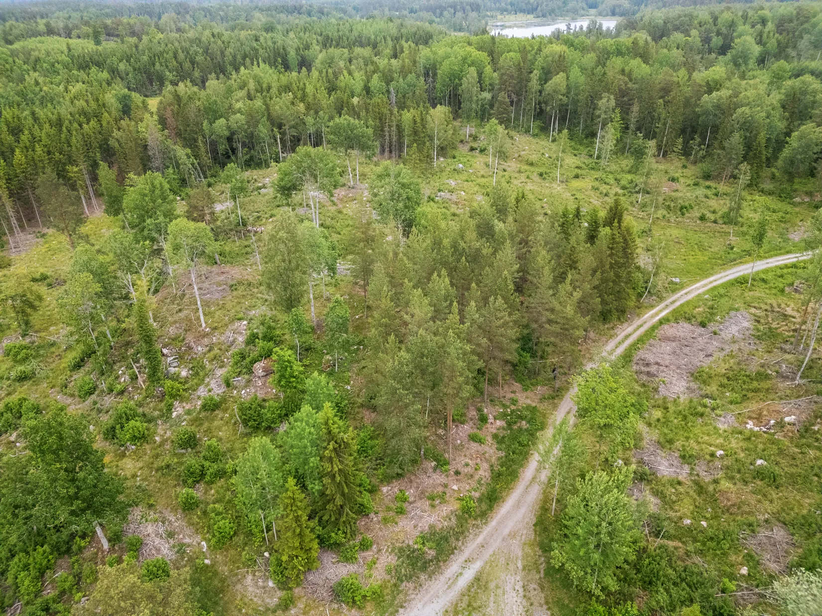 Tomt, Djupsjövägen 78, Lågarö, Norrtälje