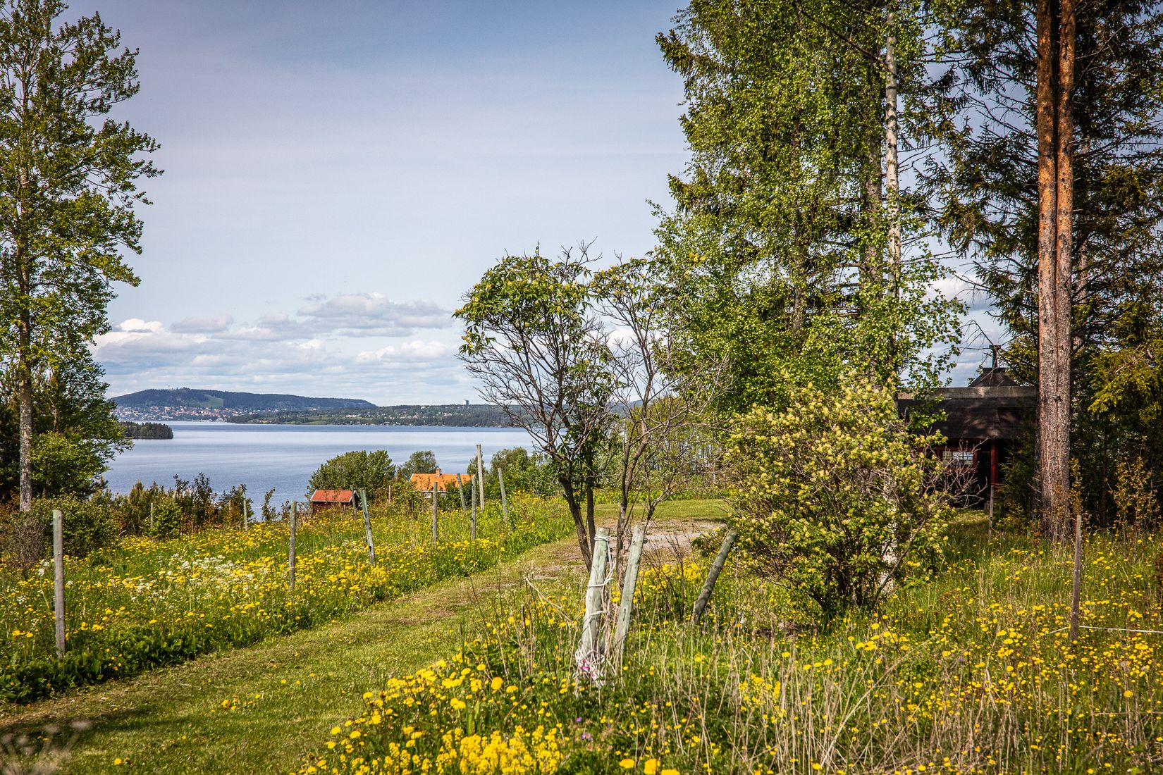Gård/Skog, Grytan 112, Grytan, Östersund