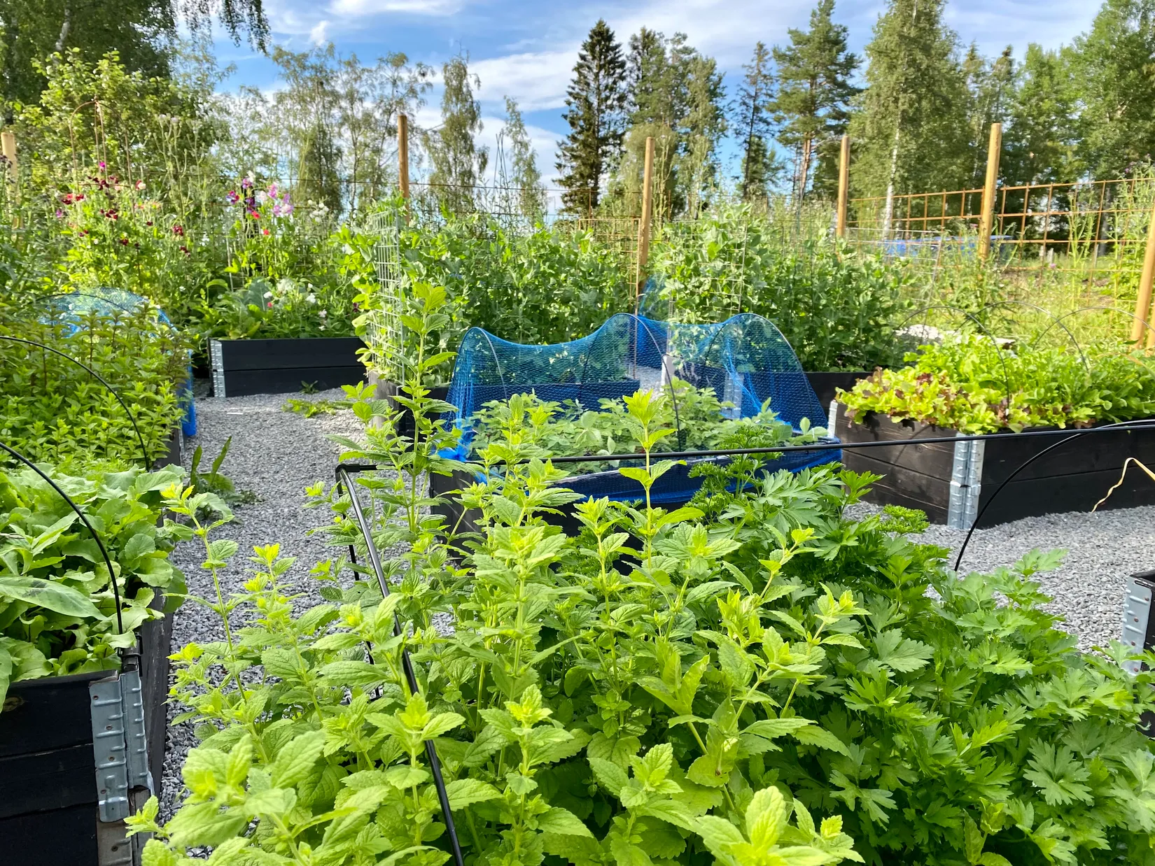 Gård/Skog, Grytan 112, Grytan, Östersund