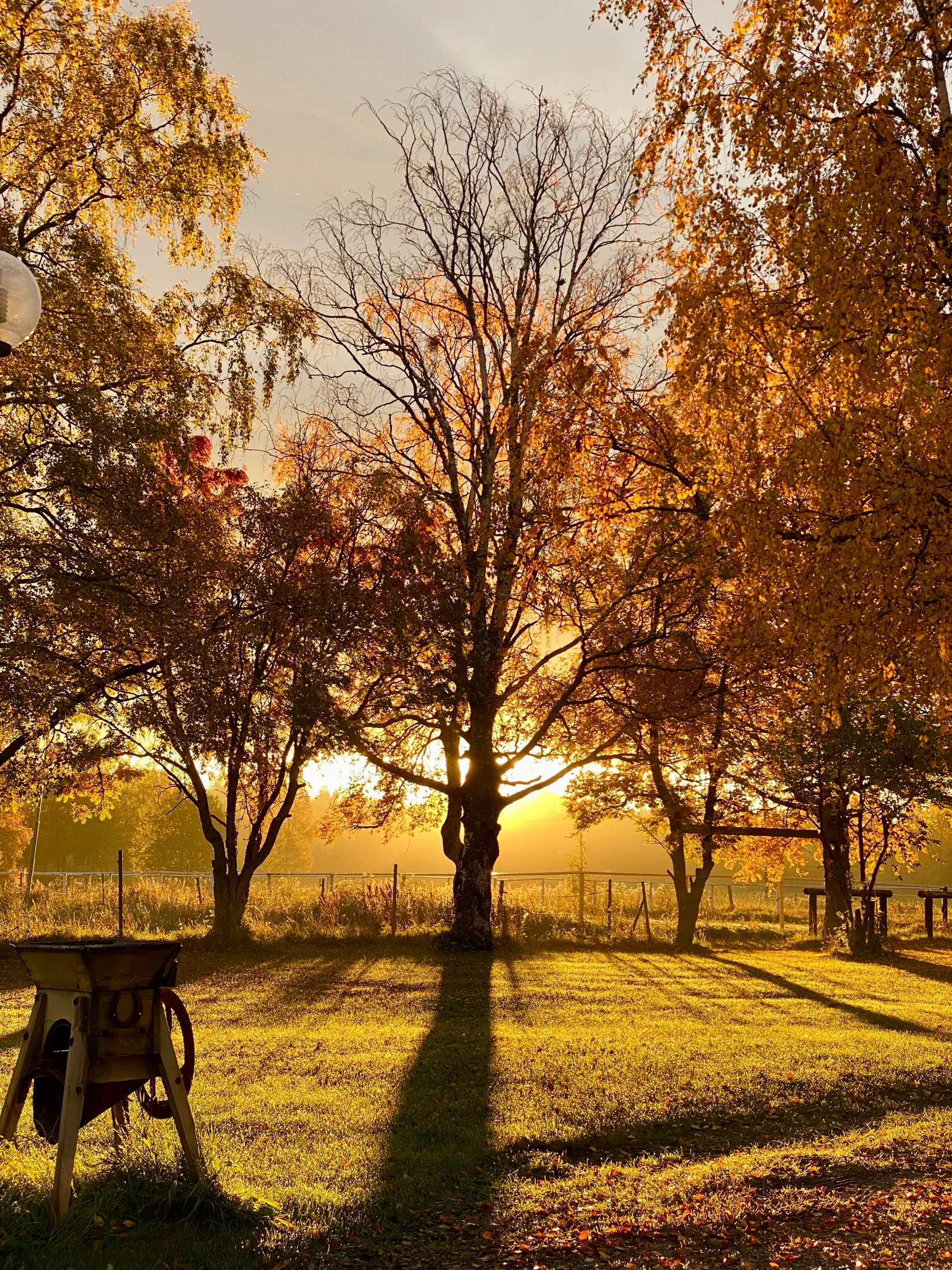 Gård/Skog, Grytan 112, Grytan, Östersund