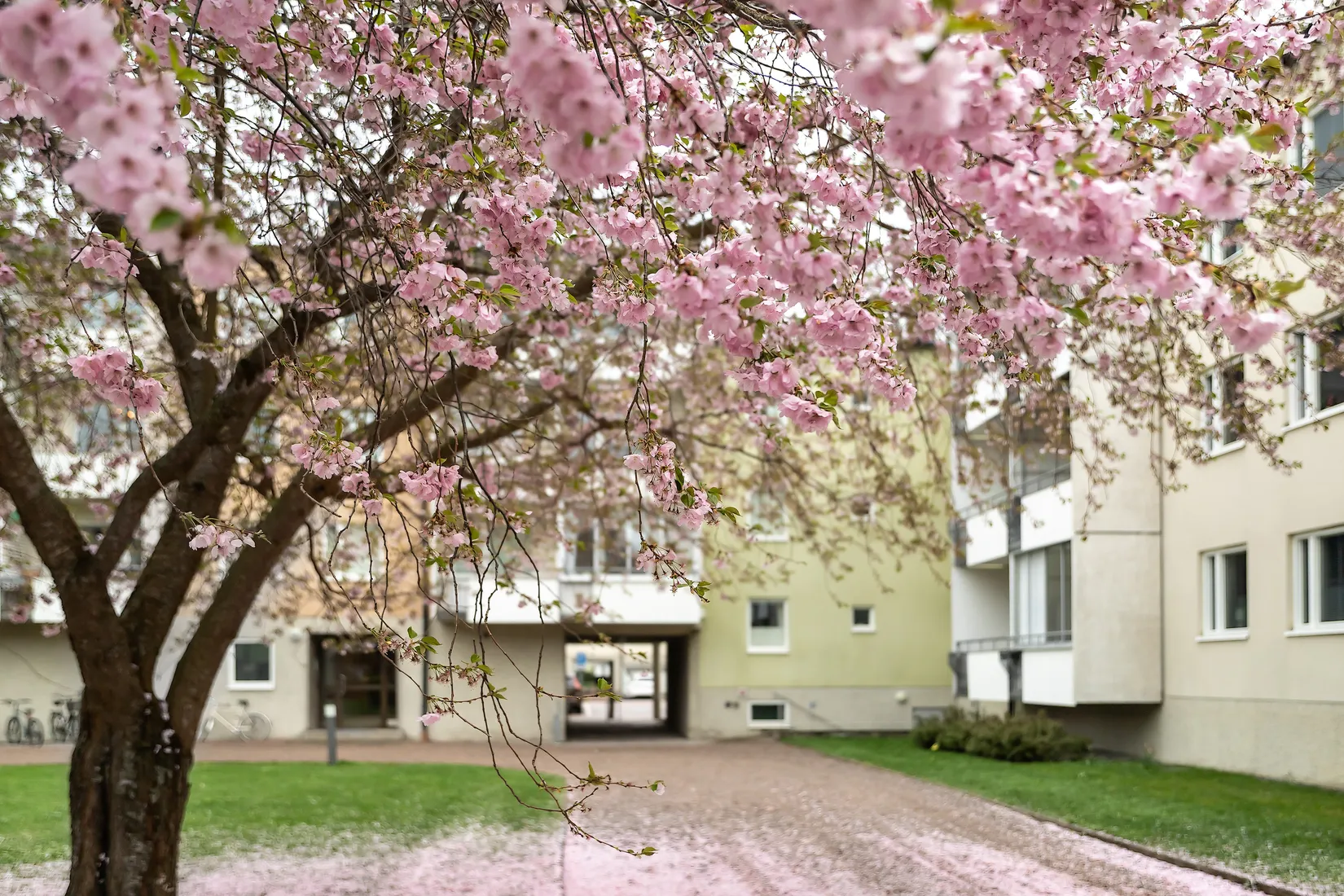 Bostadsrätt, Österängsgatan 14 E, Fålhagen, Uppsala