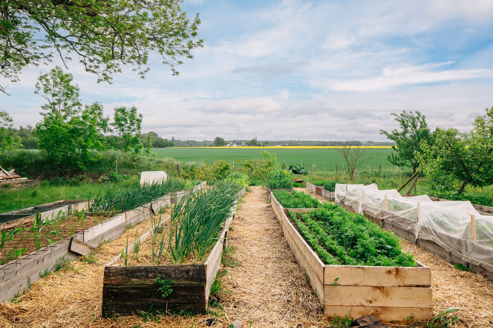 Villa, Eklunda Nolgården 1, Mariestad
