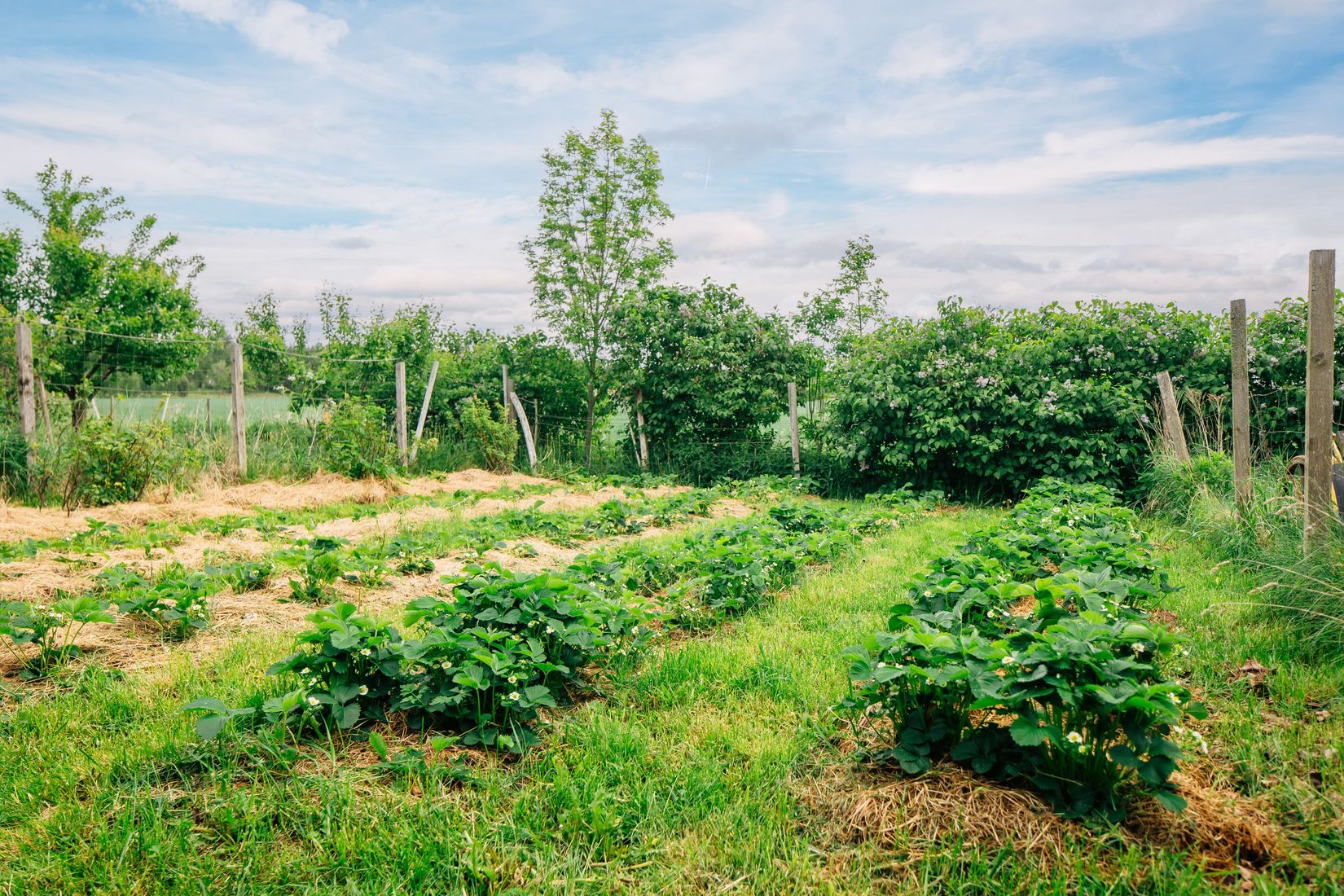 Villa, Eklunda Nolgården 1, Mariestad