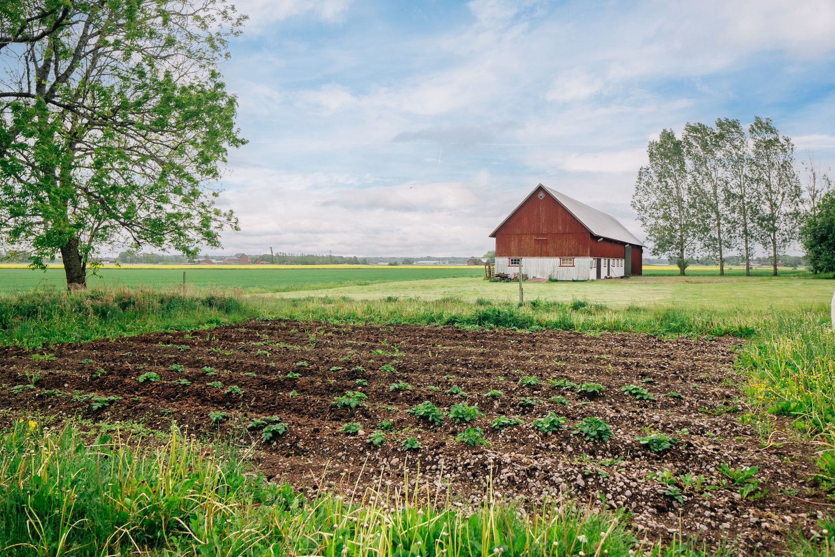 Villa, Eklunda Nolgården 1, Mariestad