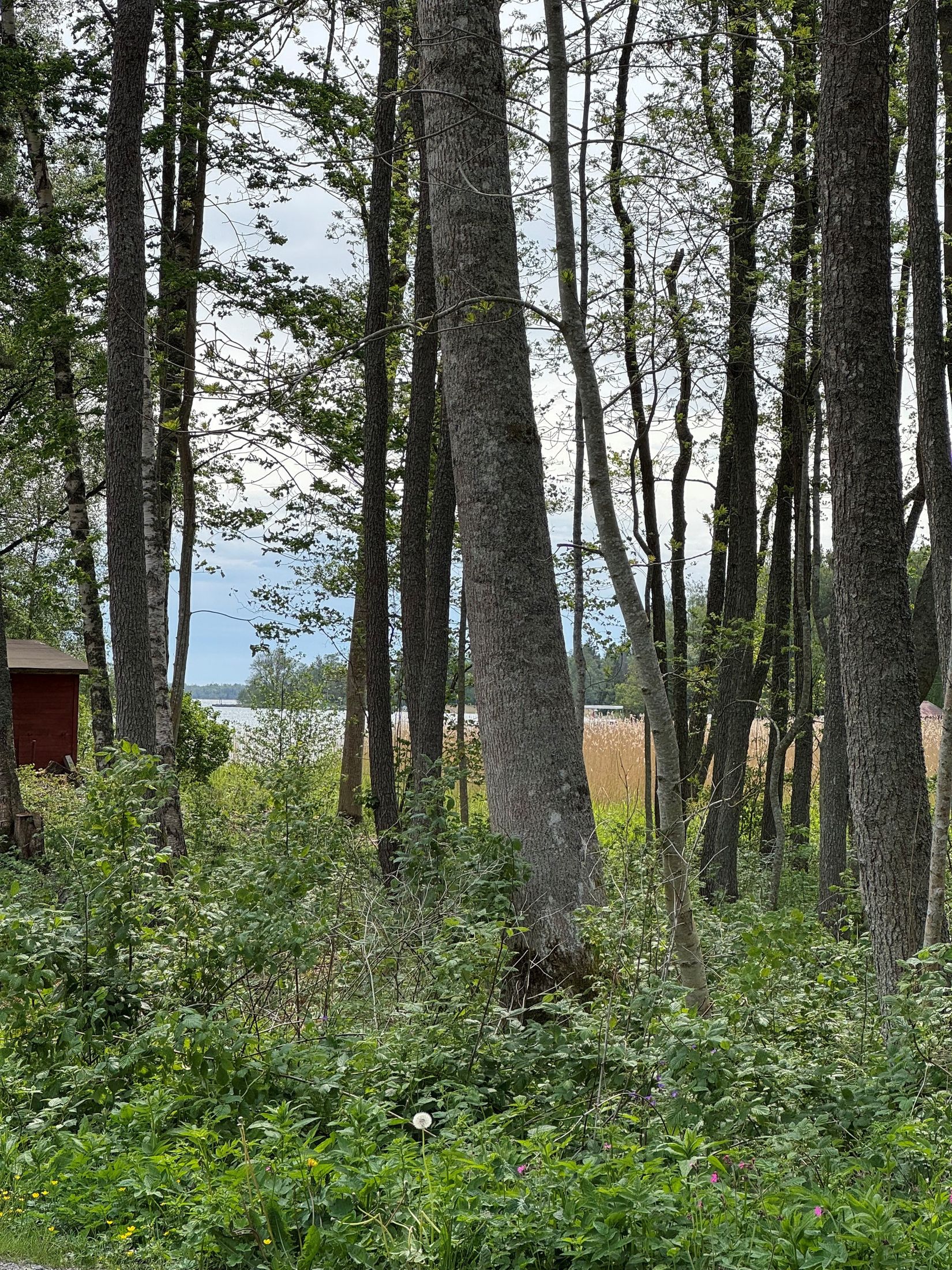 Tomt, Arholma södra byväg 46, Arholma, Norrtälje