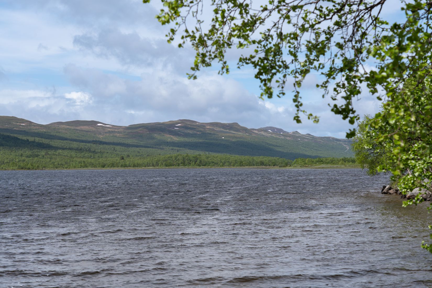 Tomt, Gamla Tänndalsvägen 260, Härjedalen