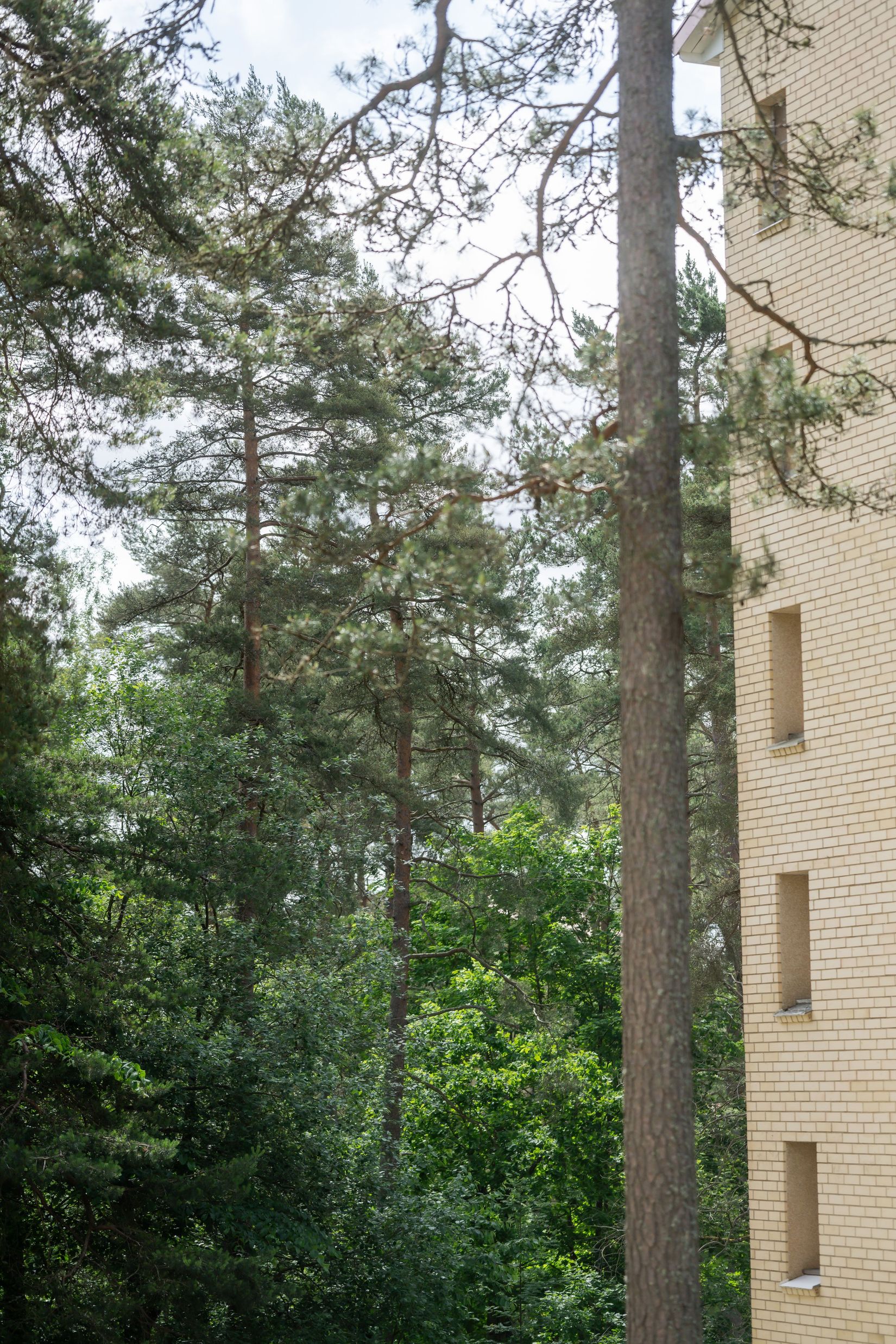 Bostadsrätt, Fjällstigen 37, Tullen, Borås