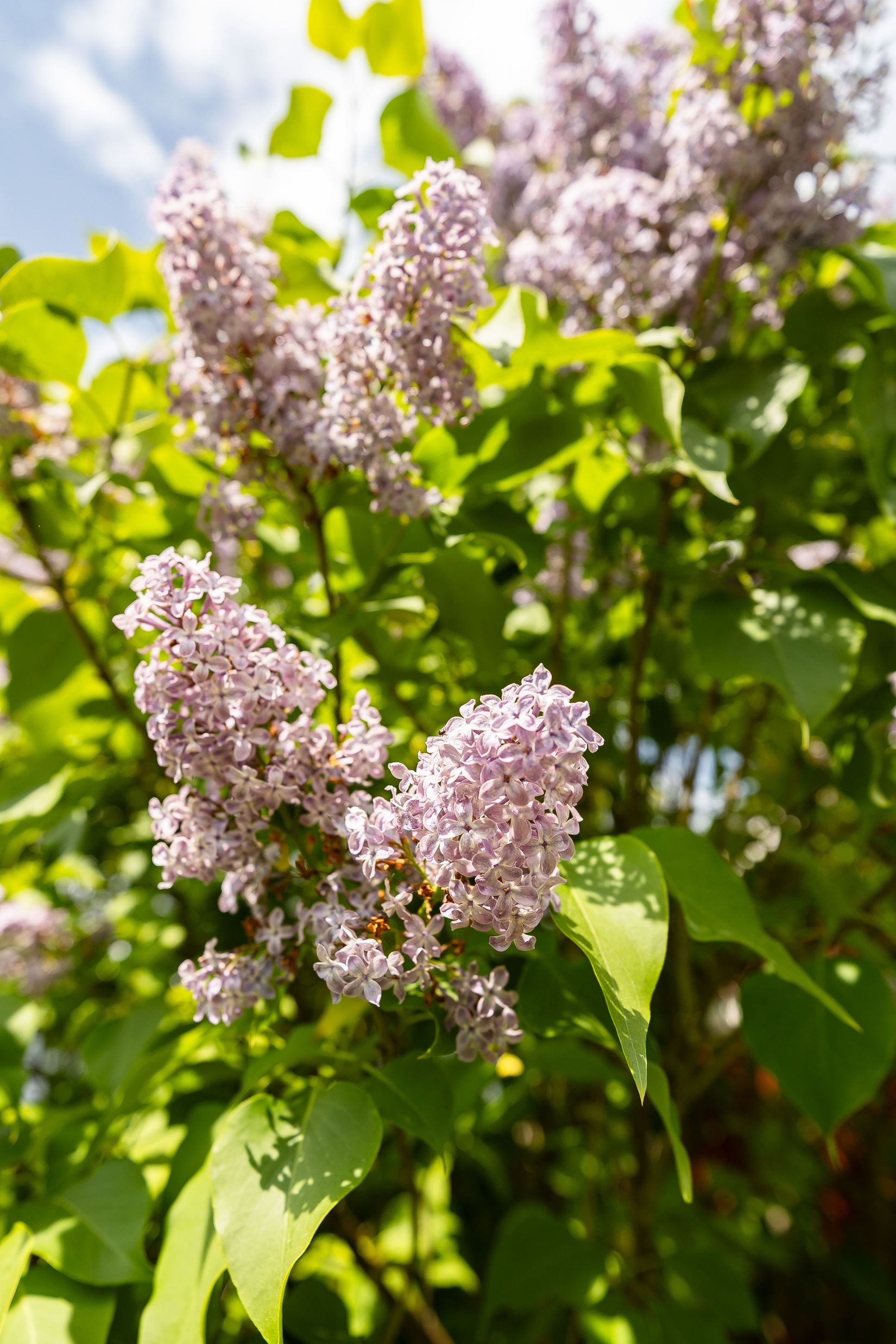 Villa, Harvens väg 7, Gnarp, Nordanstig