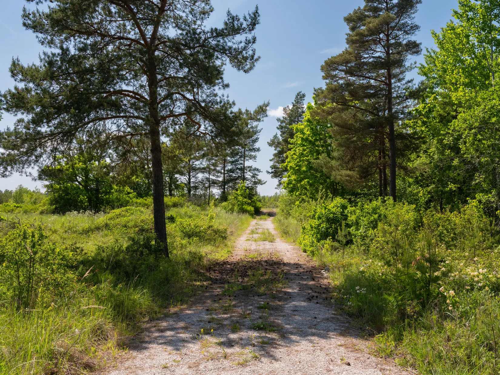 Tomt, Kräklingbo Hajdeby 183A, Gotland