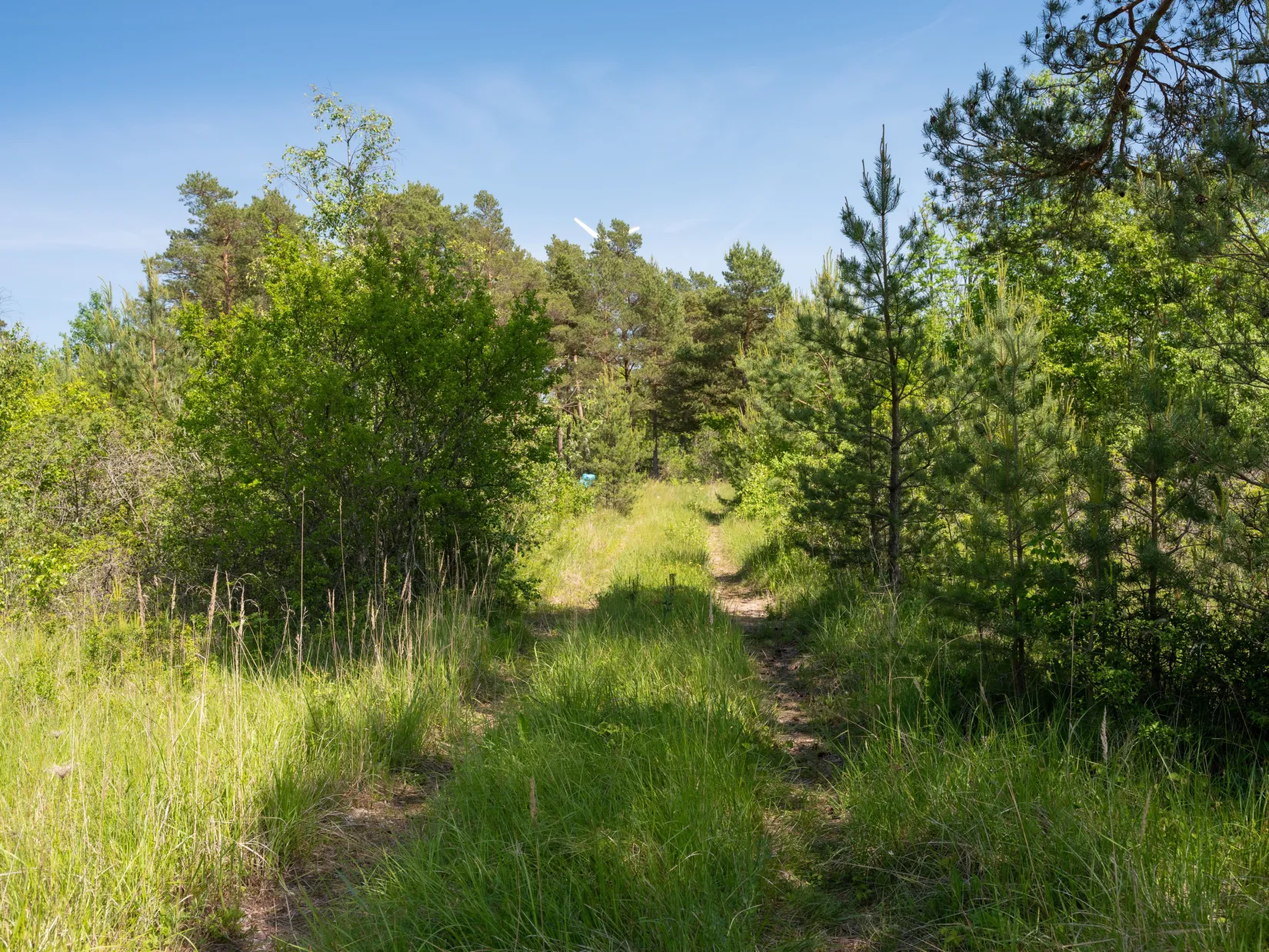 Tomt, Kräklingbo Hajdeby 183A, Gotland