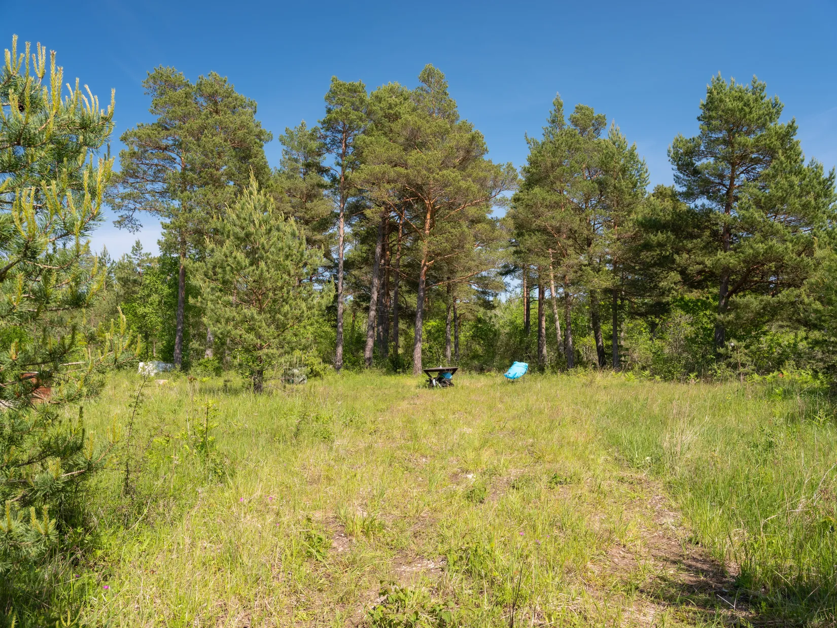 Tomt, Kräklingbo Hajdeby 183A, Gotland