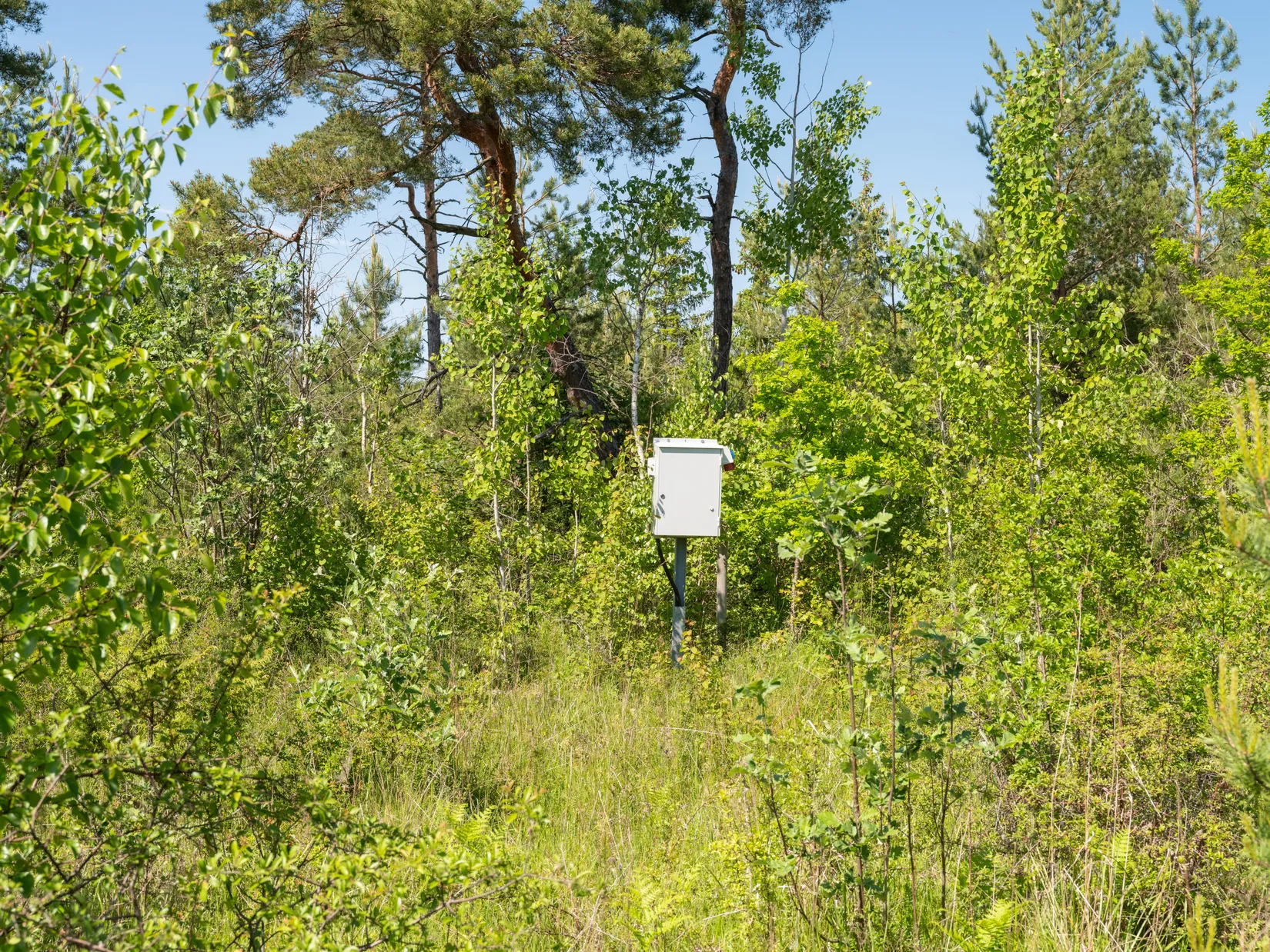 Tomt, Kräklingbo Hajdeby 183A, Gotland
