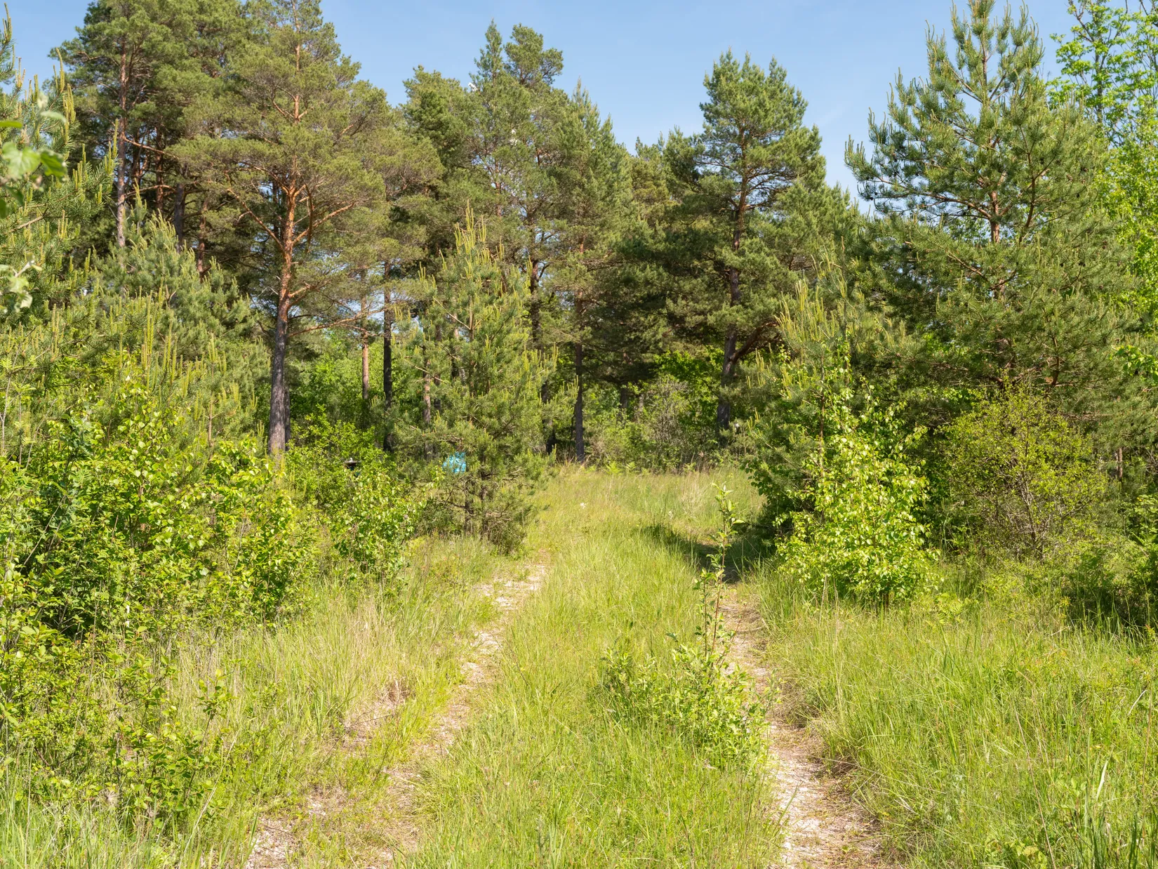 Tomt, Kräklingbo Hajdeby 183A, Gotland