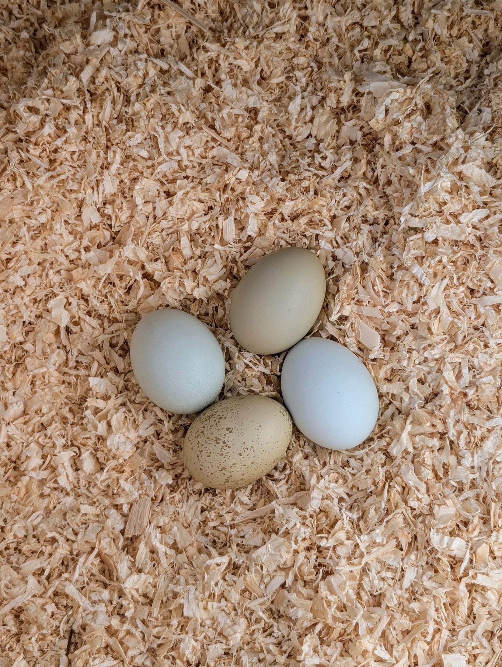 Villa, Tallkobbsvägen 4, Värmdö Evlinge, Värmdö