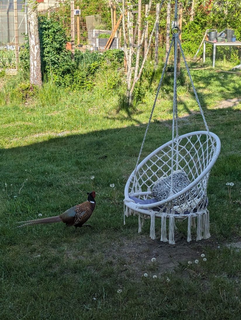 Villa, Tallkobbsvägen 4, Värmdö Evlinge, Värmdö