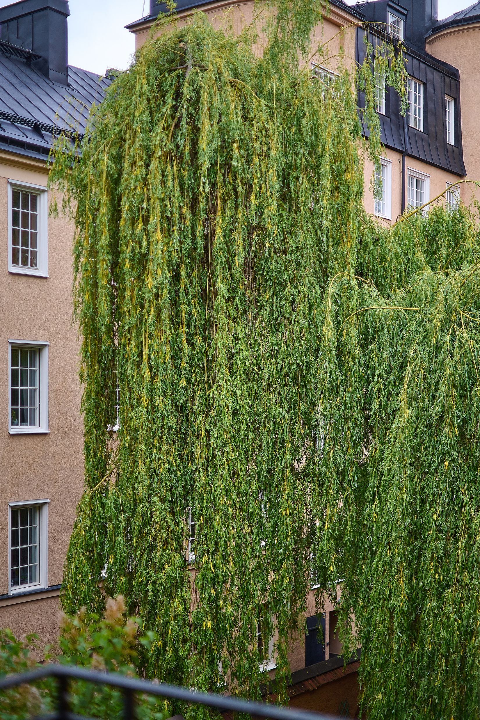 Bostadsrätt, Högalidsgatan 38D, Södermalm Högalid, Stockholm