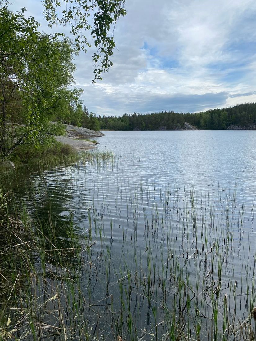 Villa, Östra Ny 245, Vikbolandet, Norrköping