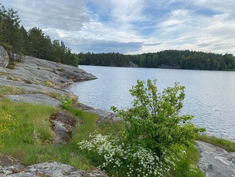 Villa, Östra Ny 245, Vikbolandet, Norrköping